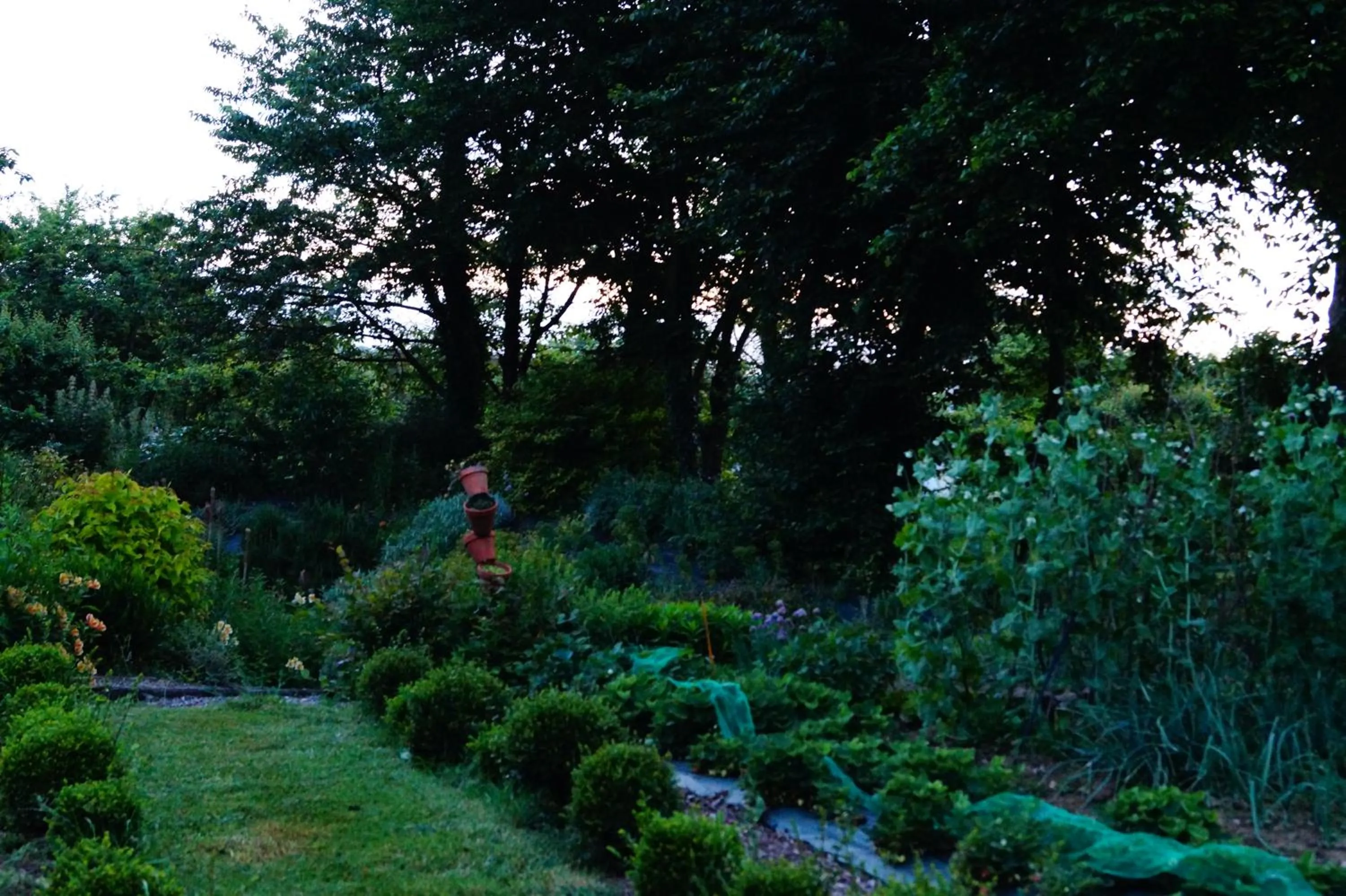 Garden view in Aux Greniers à Rêves