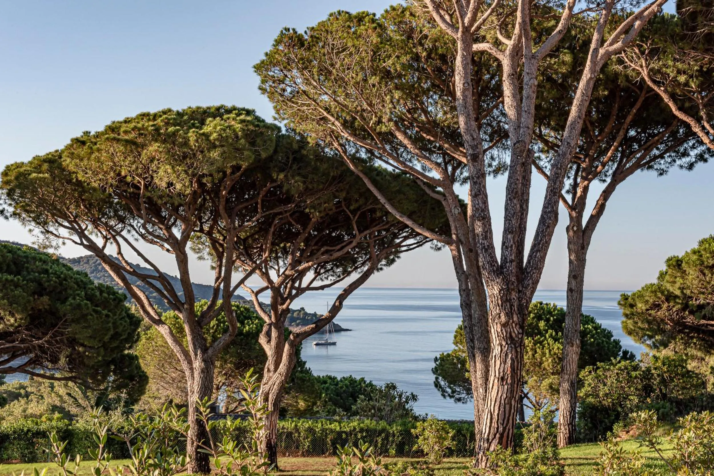 Sea view in Lily of the Valley