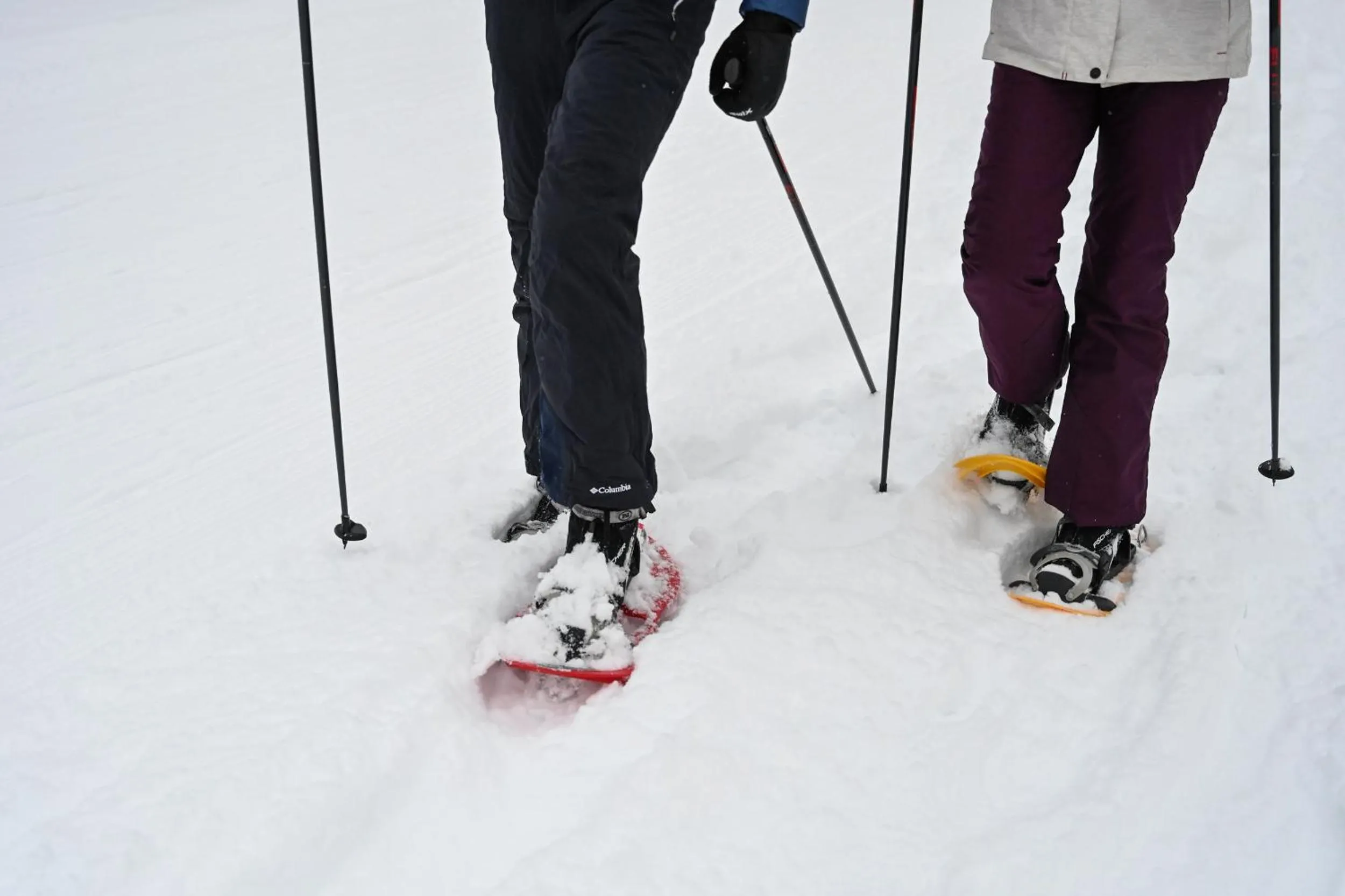 People in Rifugio Cereda