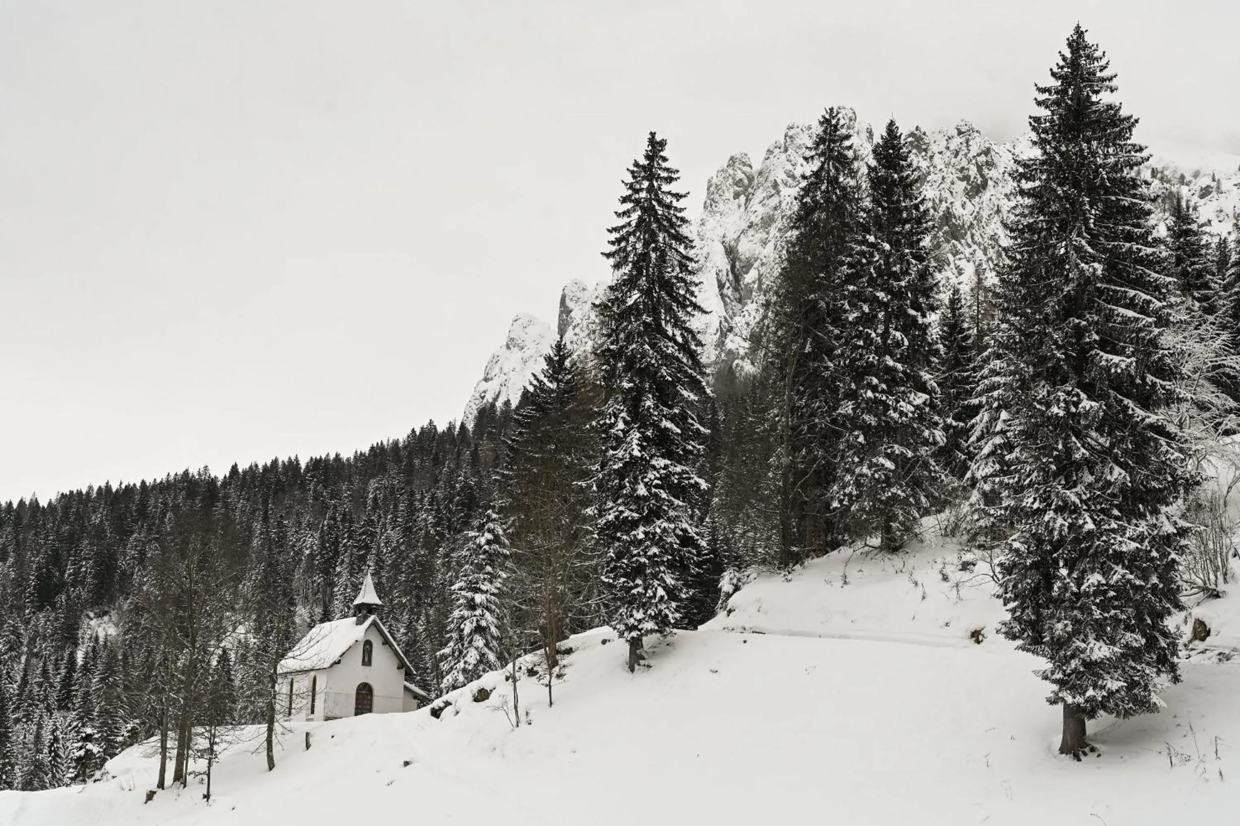 Natural landscape in Rifugio Cereda