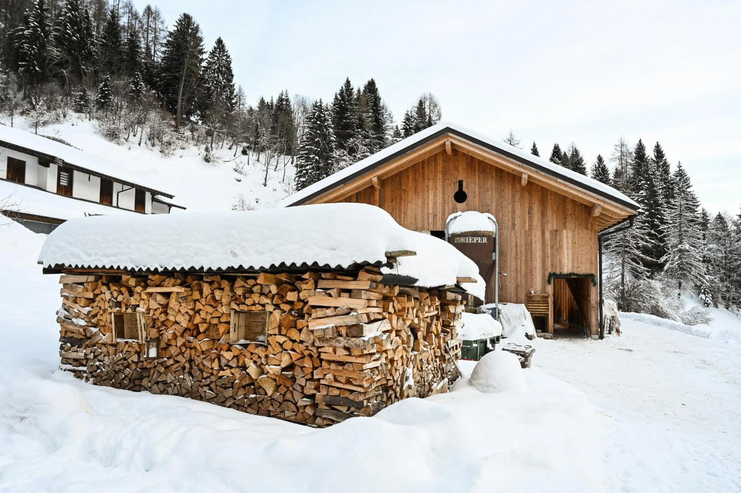 Pets in Rifugio Cereda