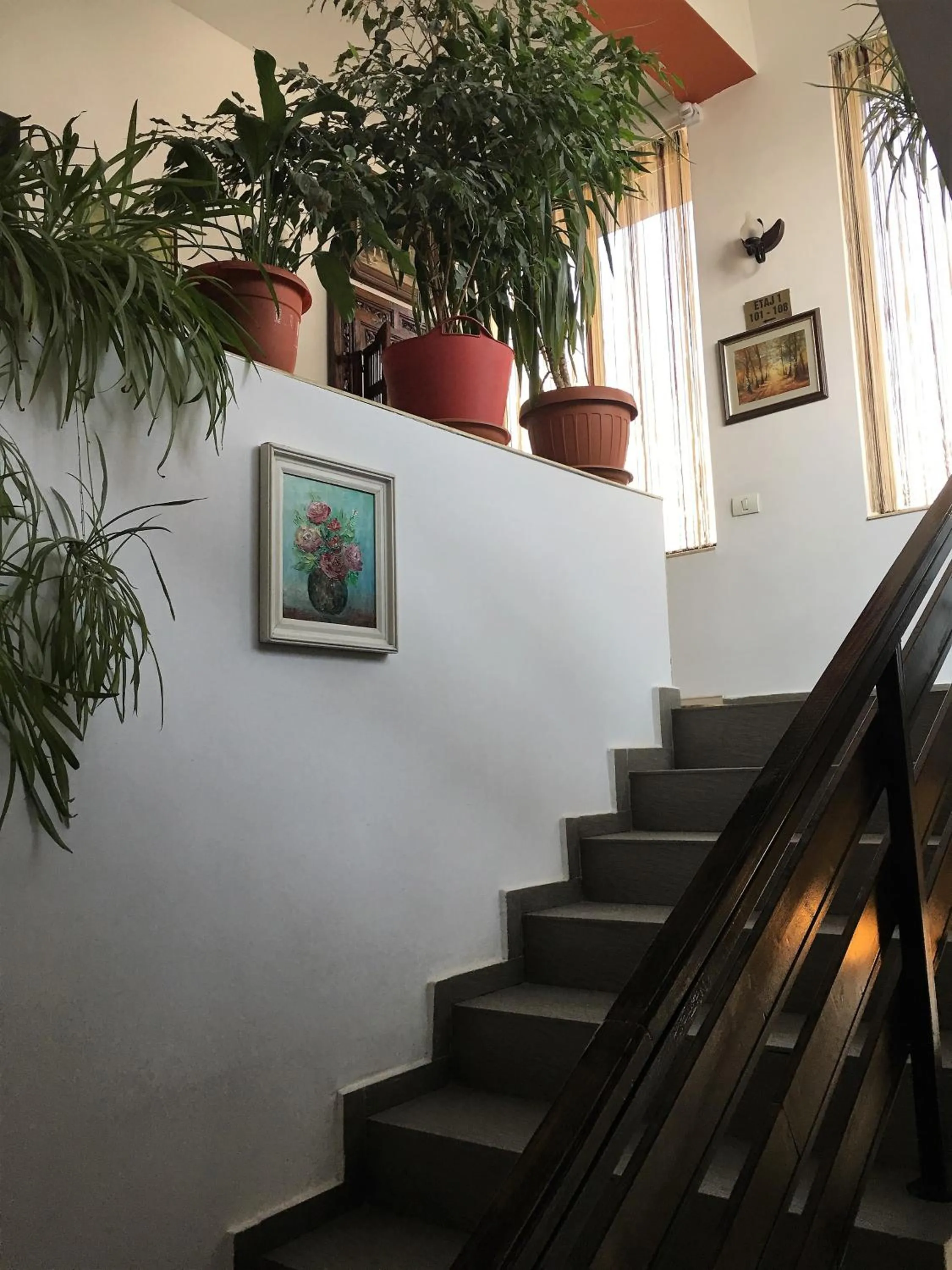 Lobby or reception in Hotel Taco