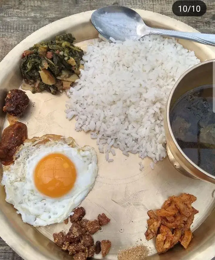 VAMOOSE TEMI VAMOOSE TEMI