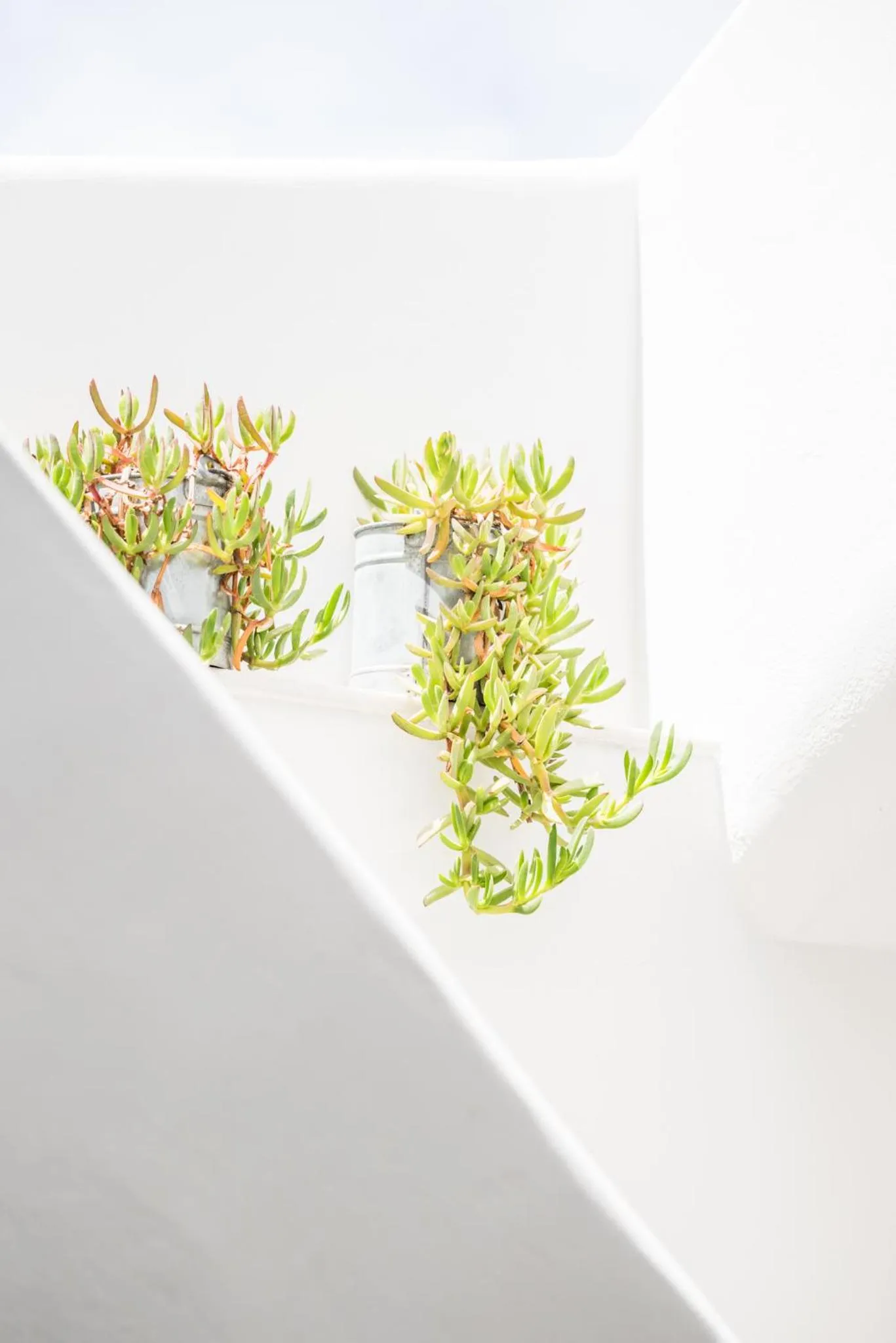 Property building in Agave Santorini Design Boutique Hotel