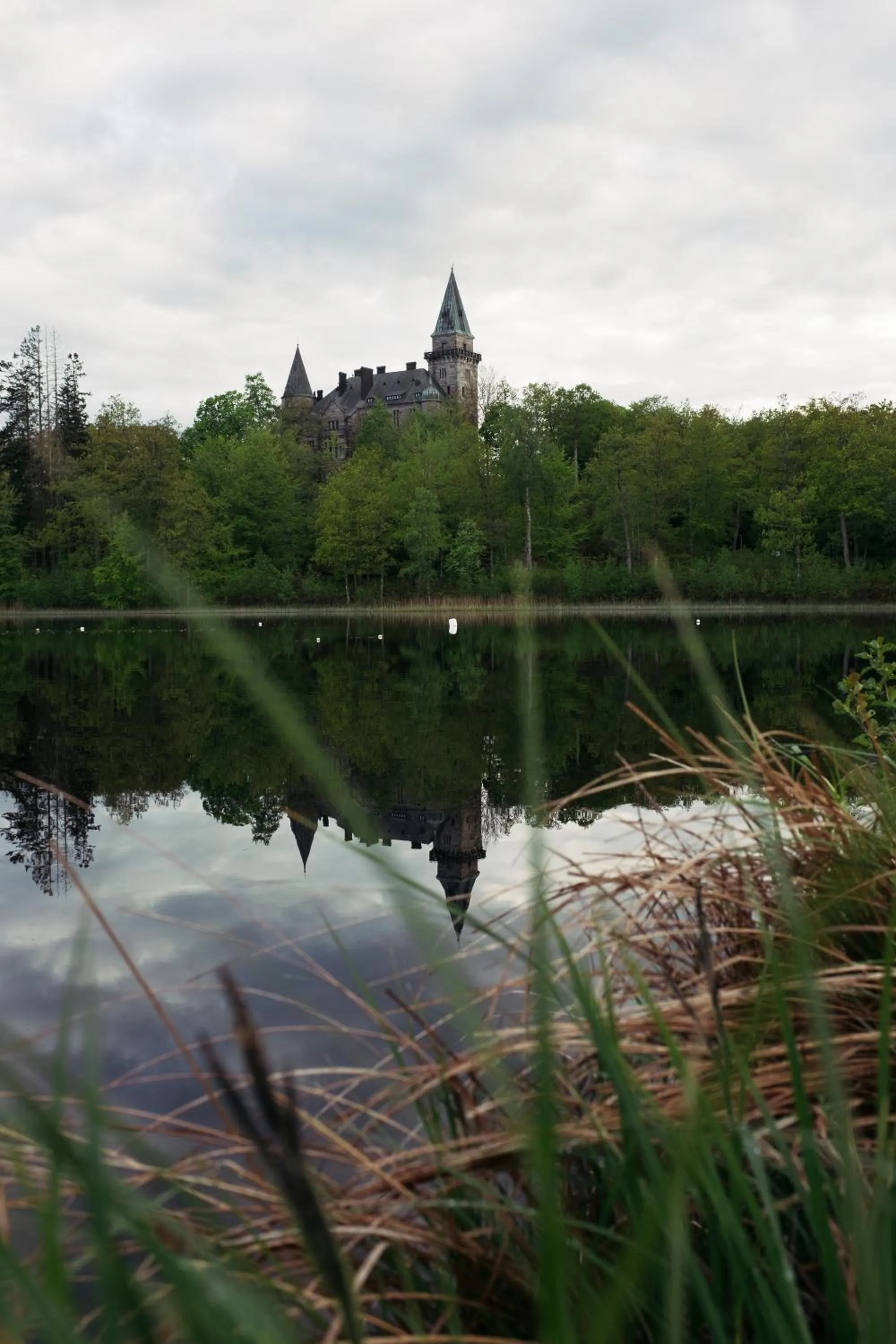 Natural landscape in Teleborgs Slott