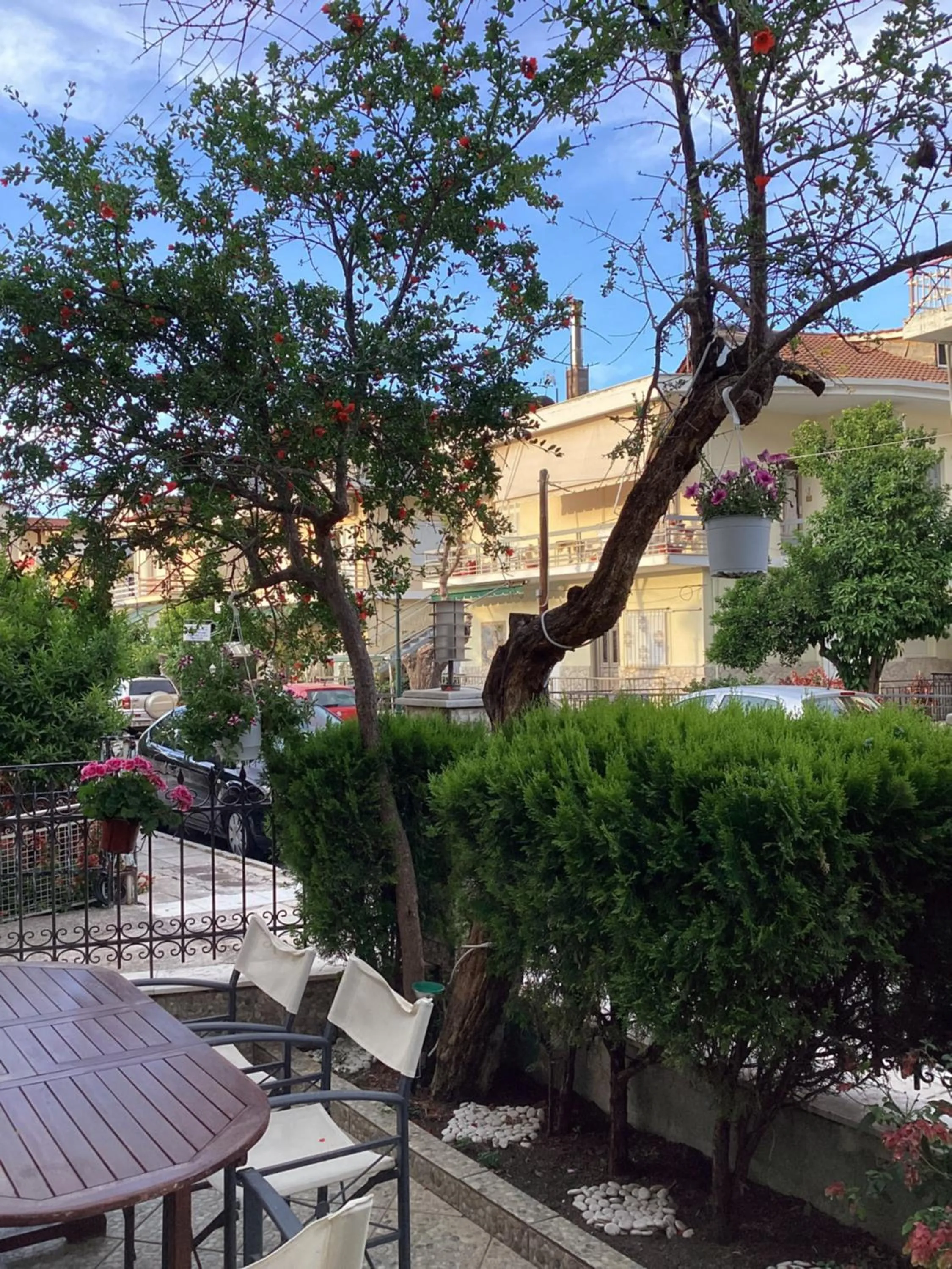 Property building in Alexandros