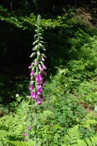Area and facilities in Hotel Saint-Martin