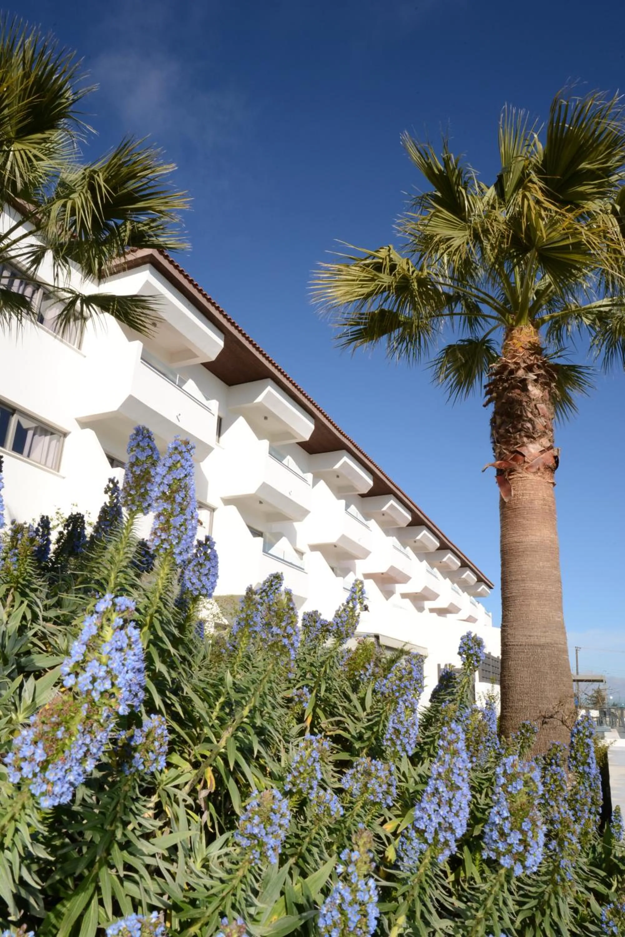 Property building in Droushia Heights Hotel