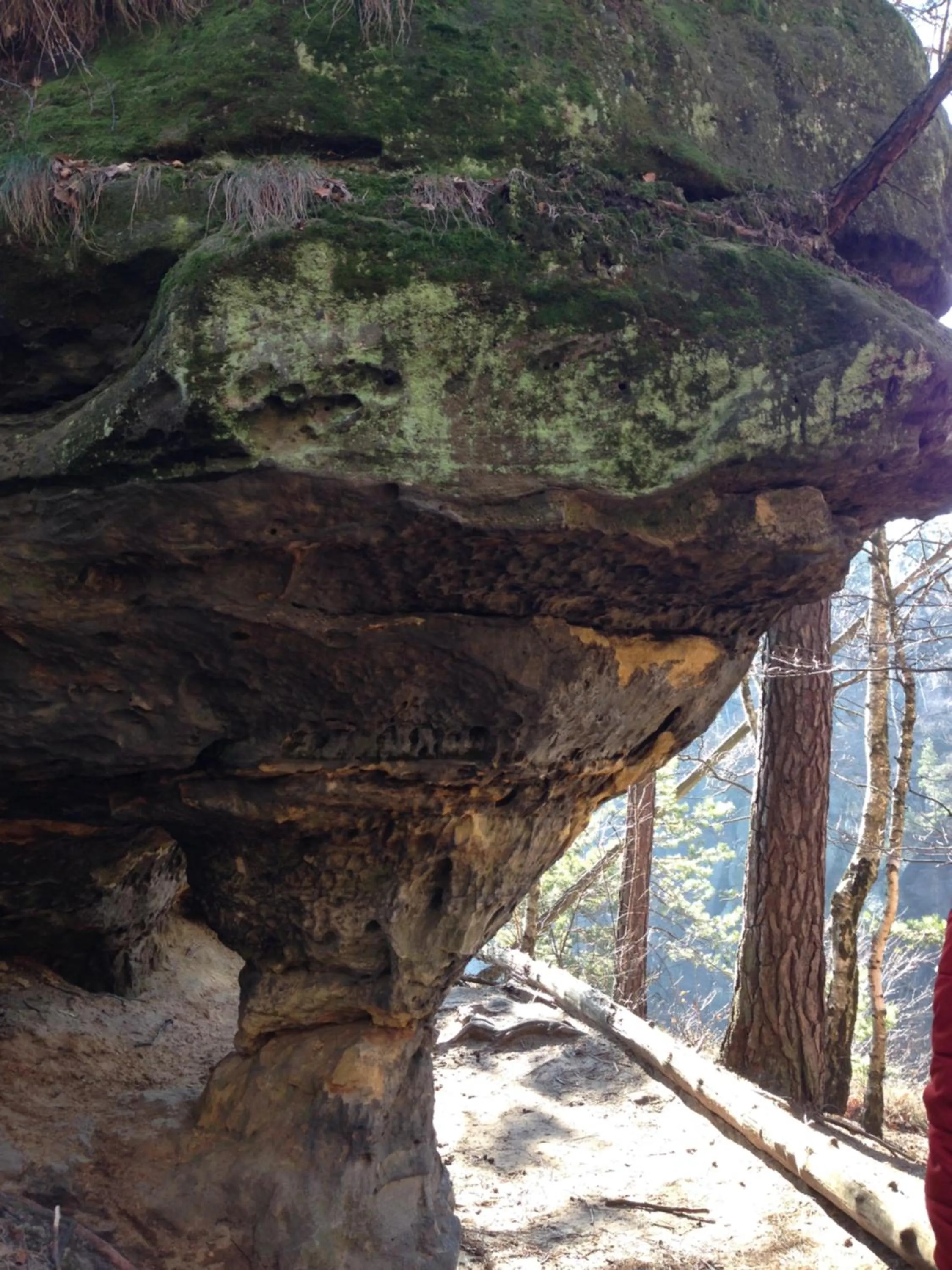 Natural landscape in Parkhotel Margaretenhof