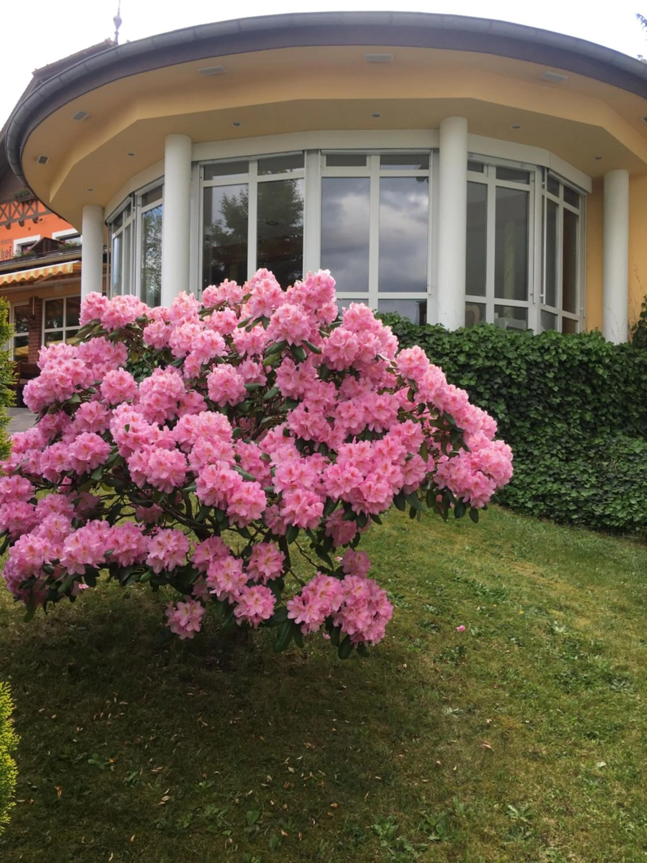 Garden view in Parkhotel Margaretenhof