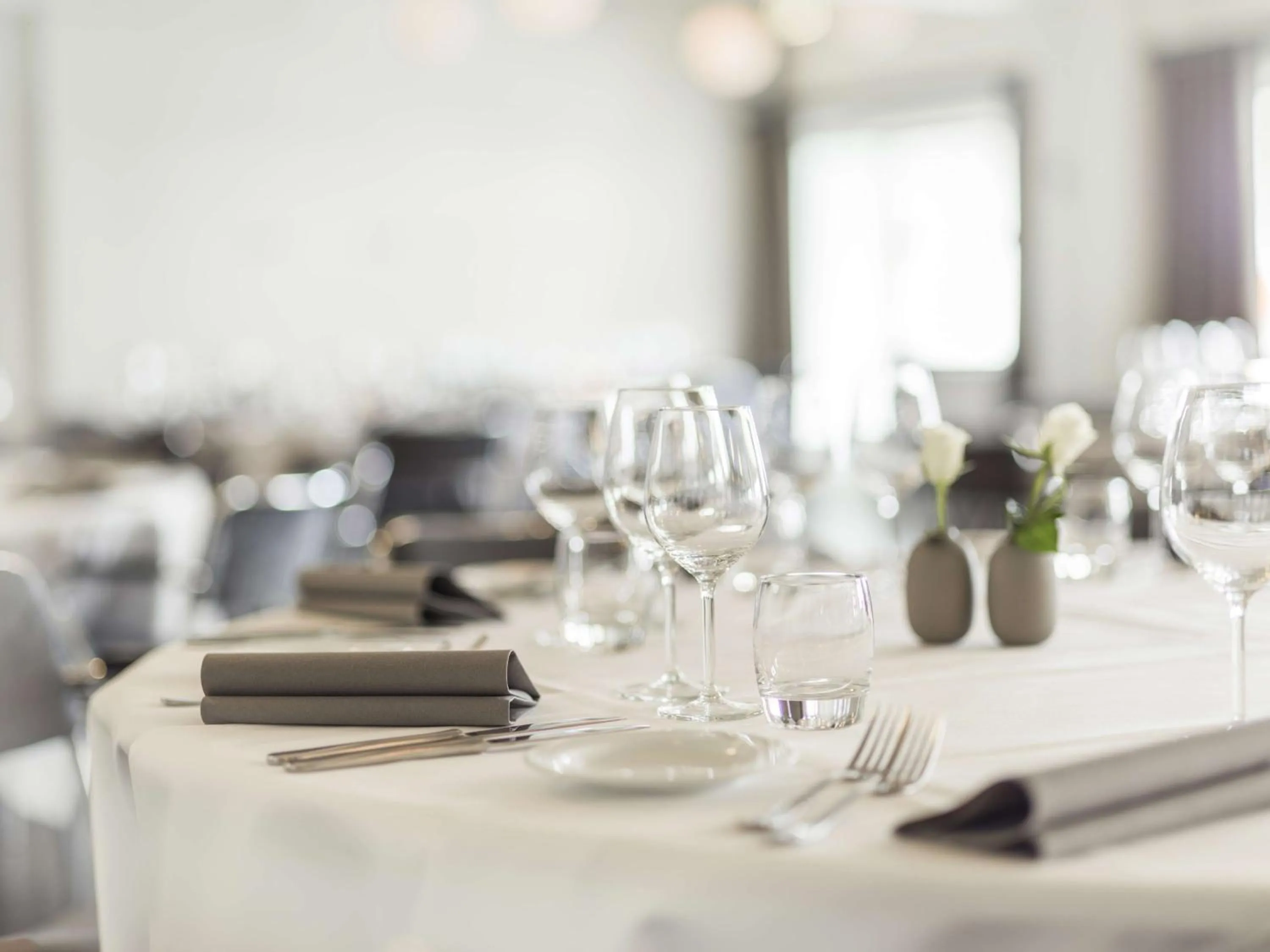 On site in Radisson Blu Limfjord Hotel, Aalborg