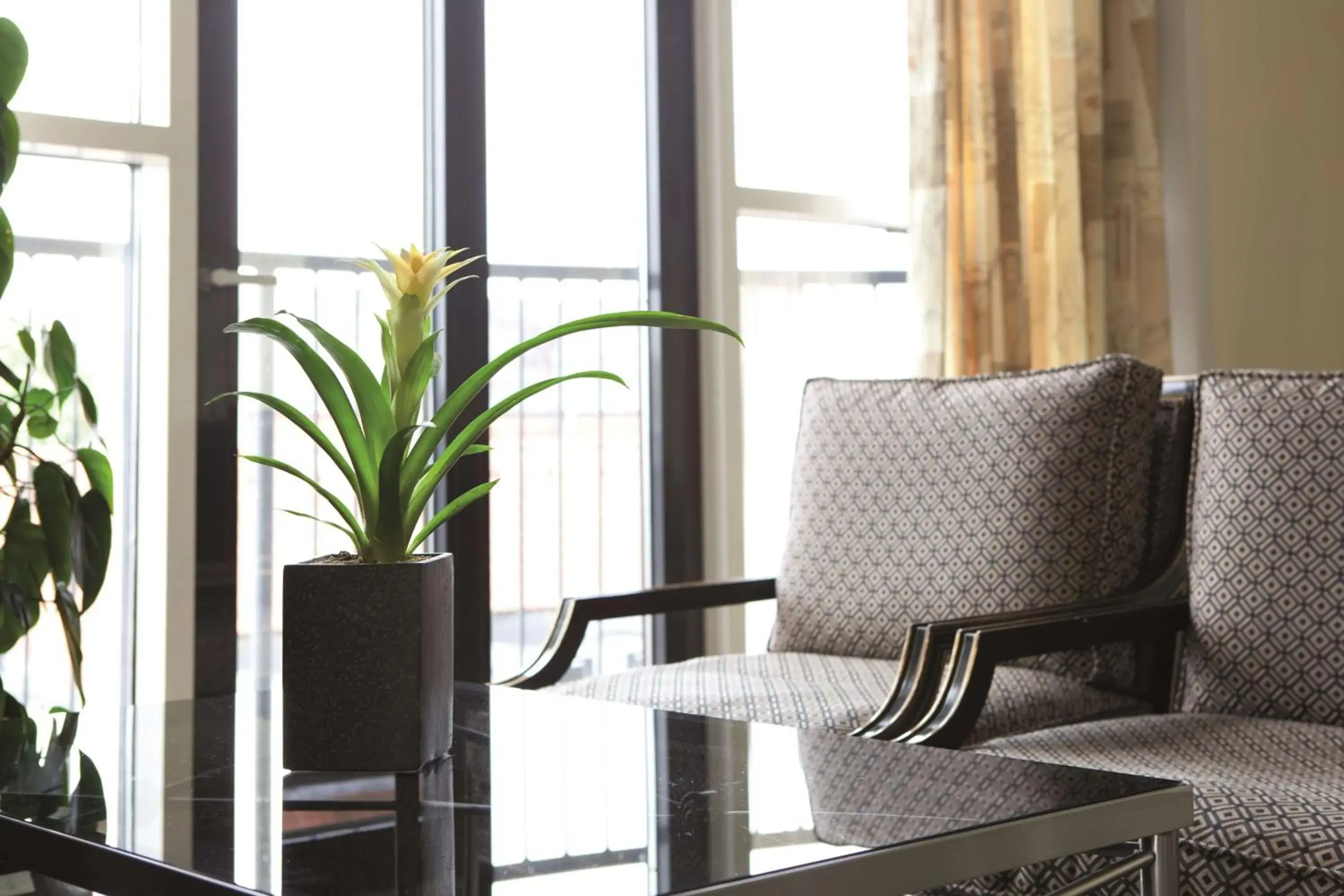 Photo of the whole room in Radisson Blu Limfjord Hotel, Aalborg Photo of the whole room in Radisson Blu Limfjord Hotel, Aalborg