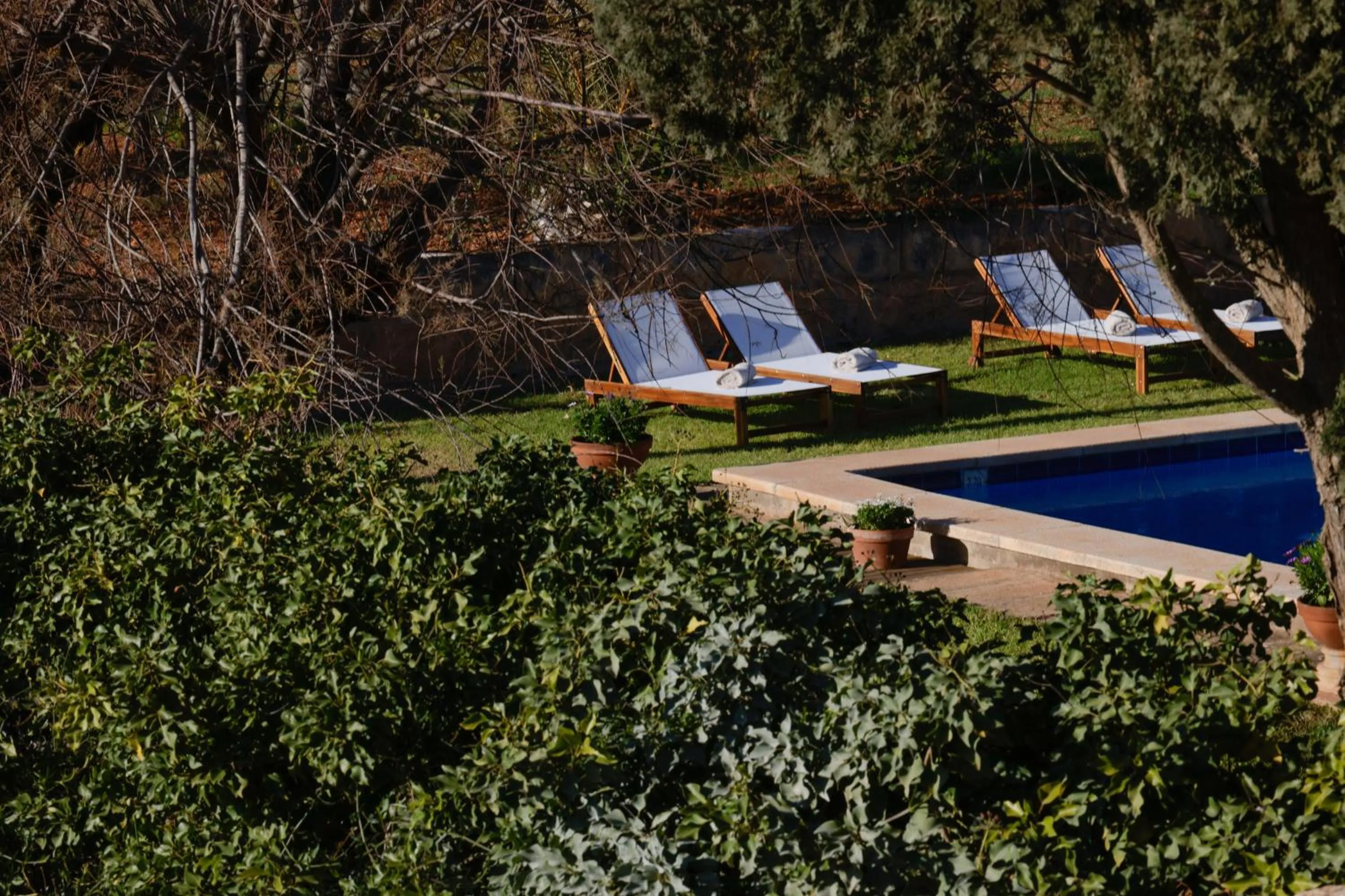 Day in Agroturismo Finca Son Pieras