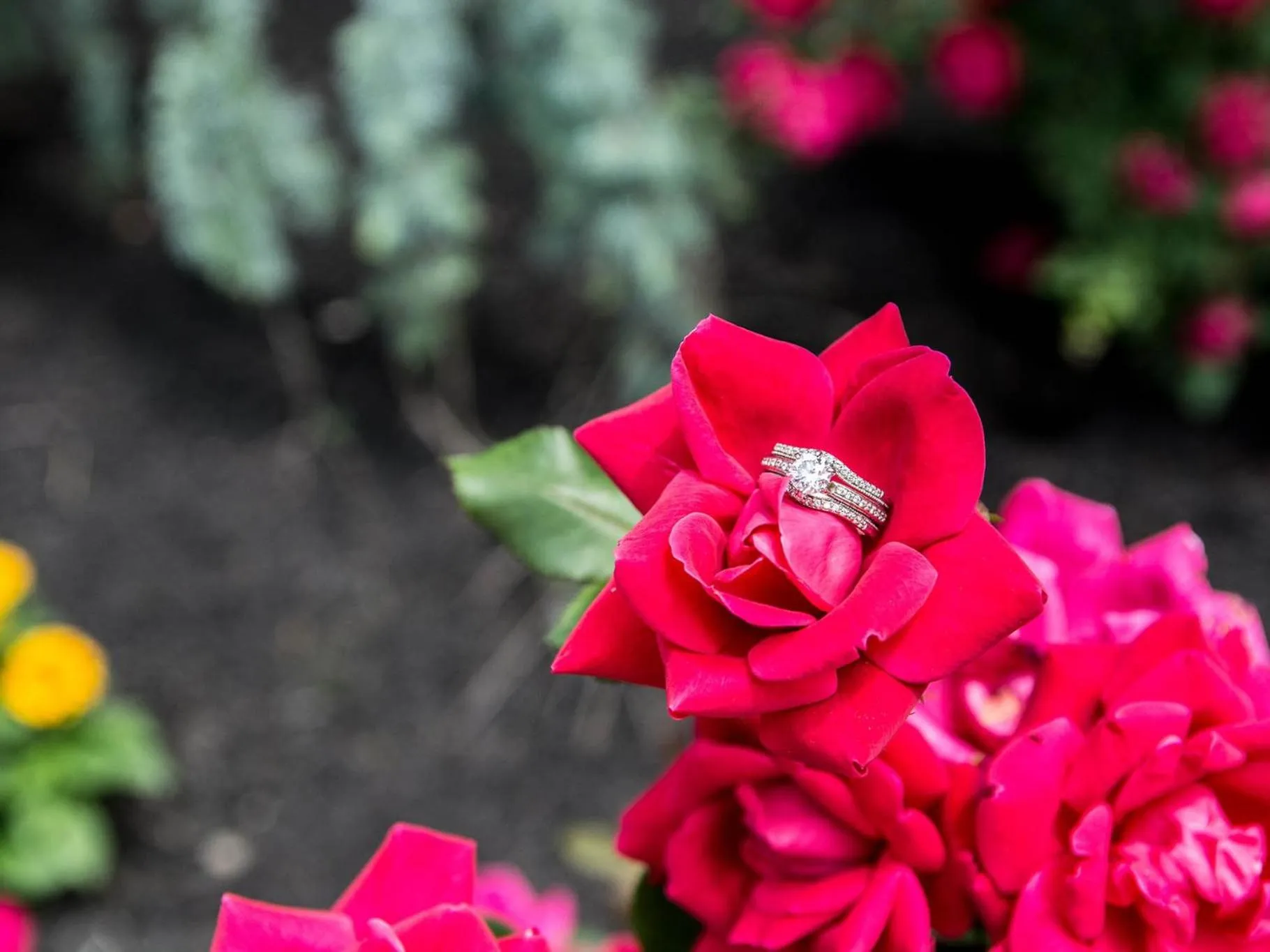 Other in The Manor on Front