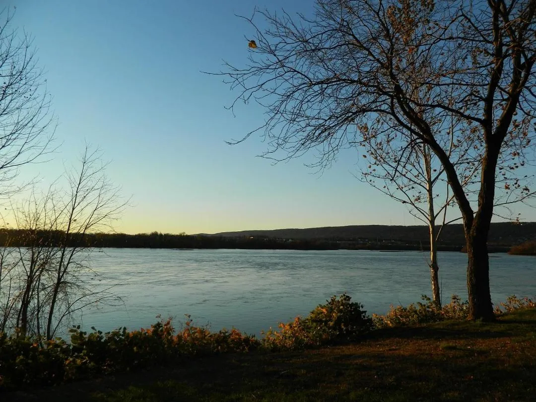View (from property/room) in The Manor on Front