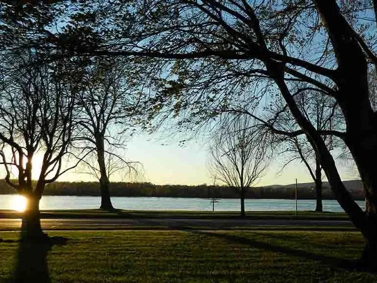 View (from property/room) in The Manor on Front