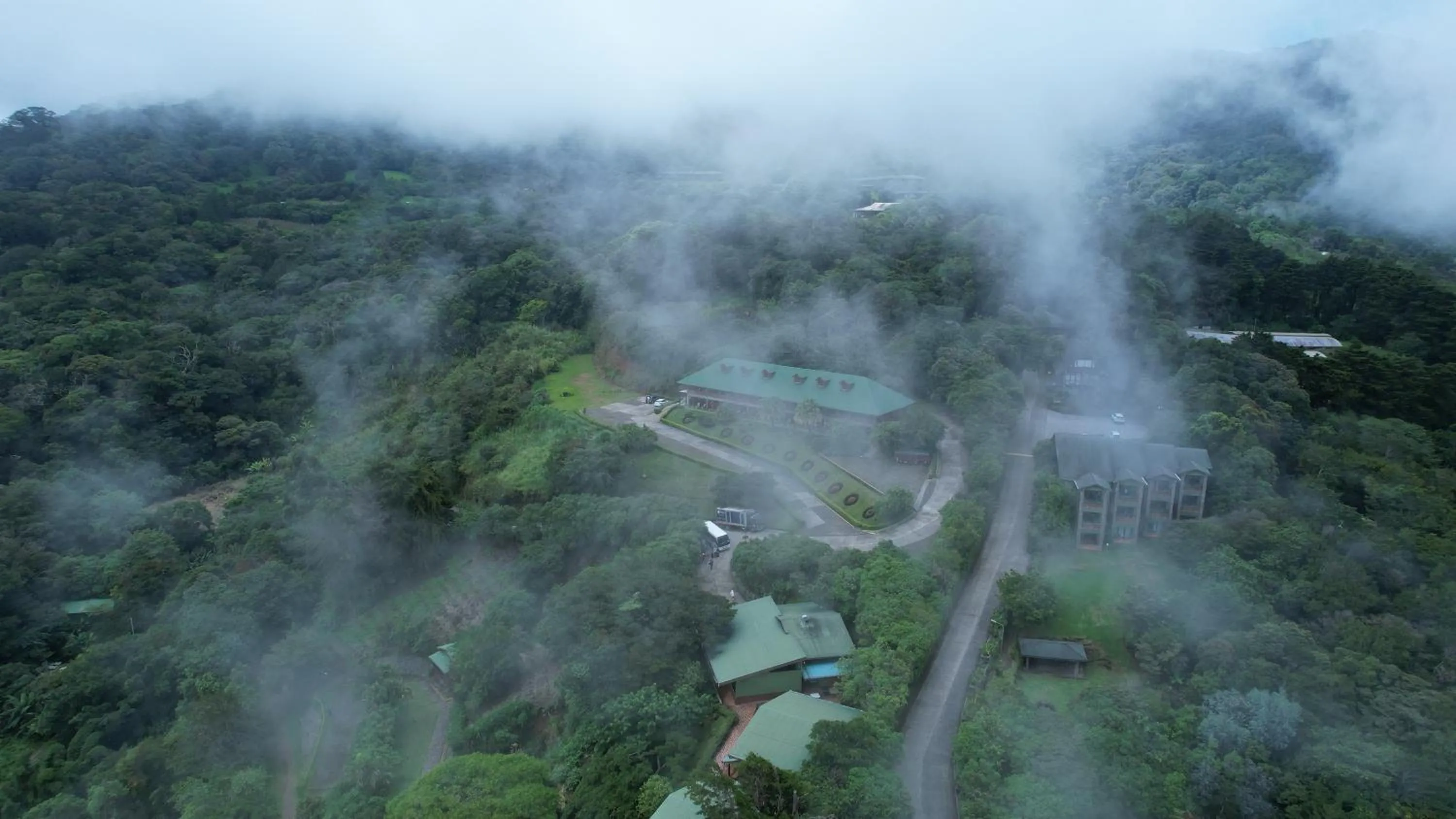 Natural landscape in Hotel Heliconia - Monteverde