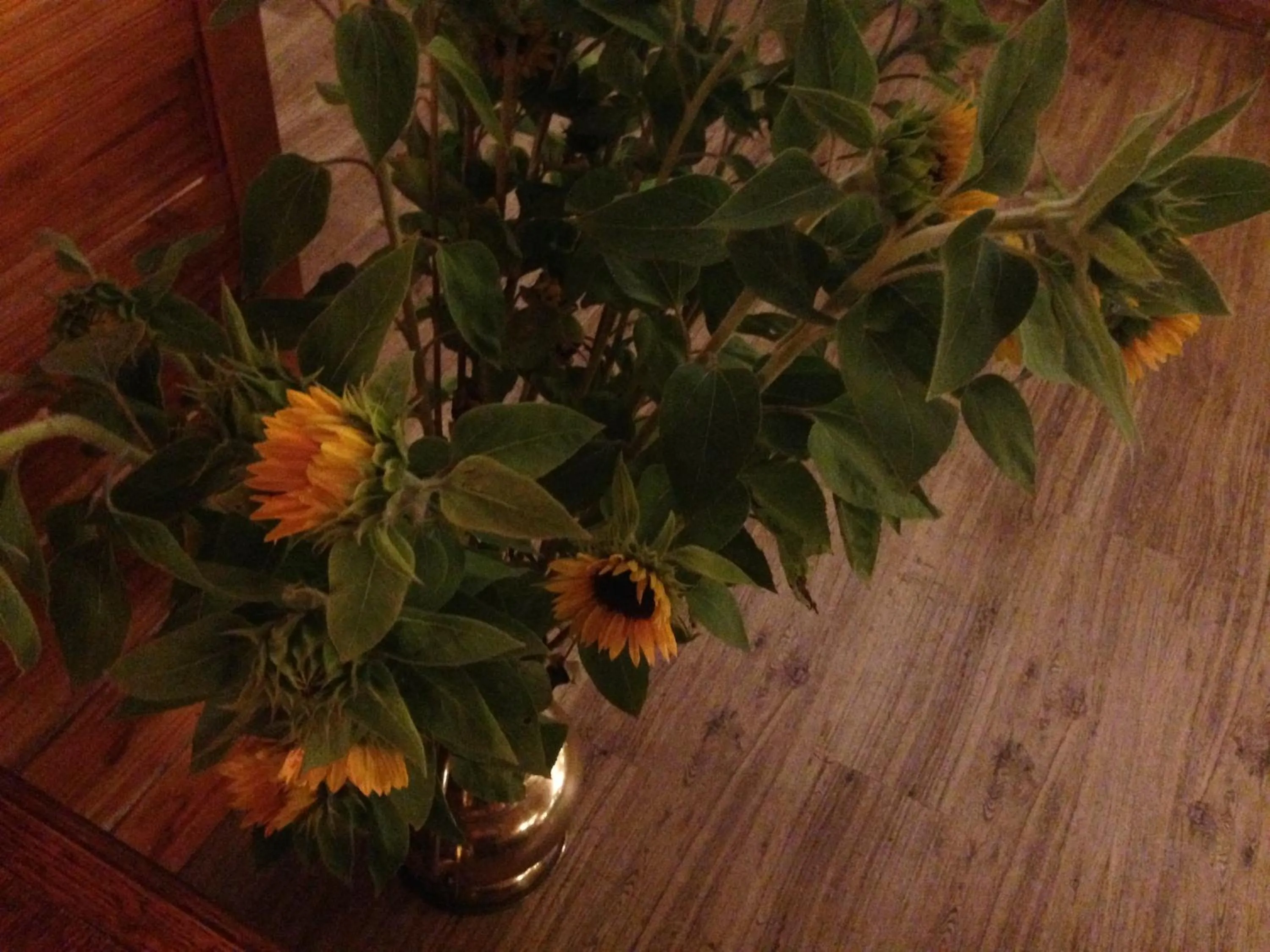 Facade/entrance in Tutzinger Hof