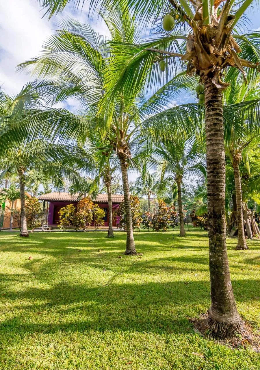 Garden in Hotel Guanacaste Lodge