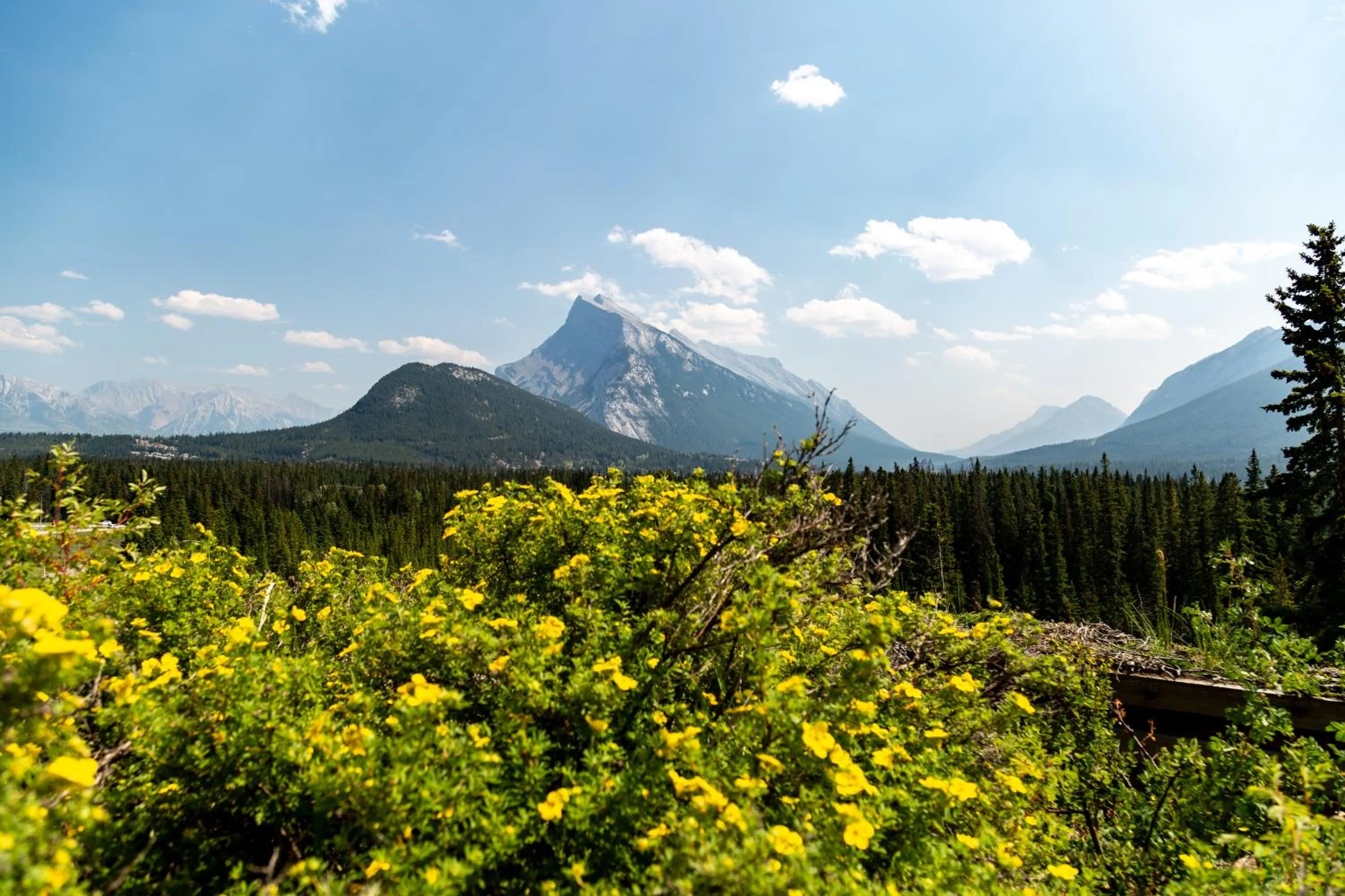Garden in The Juniper Hotel & Bistro