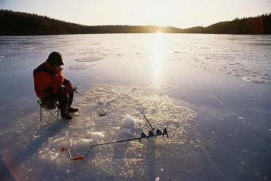 Natural landscape in Williston Lake Resort