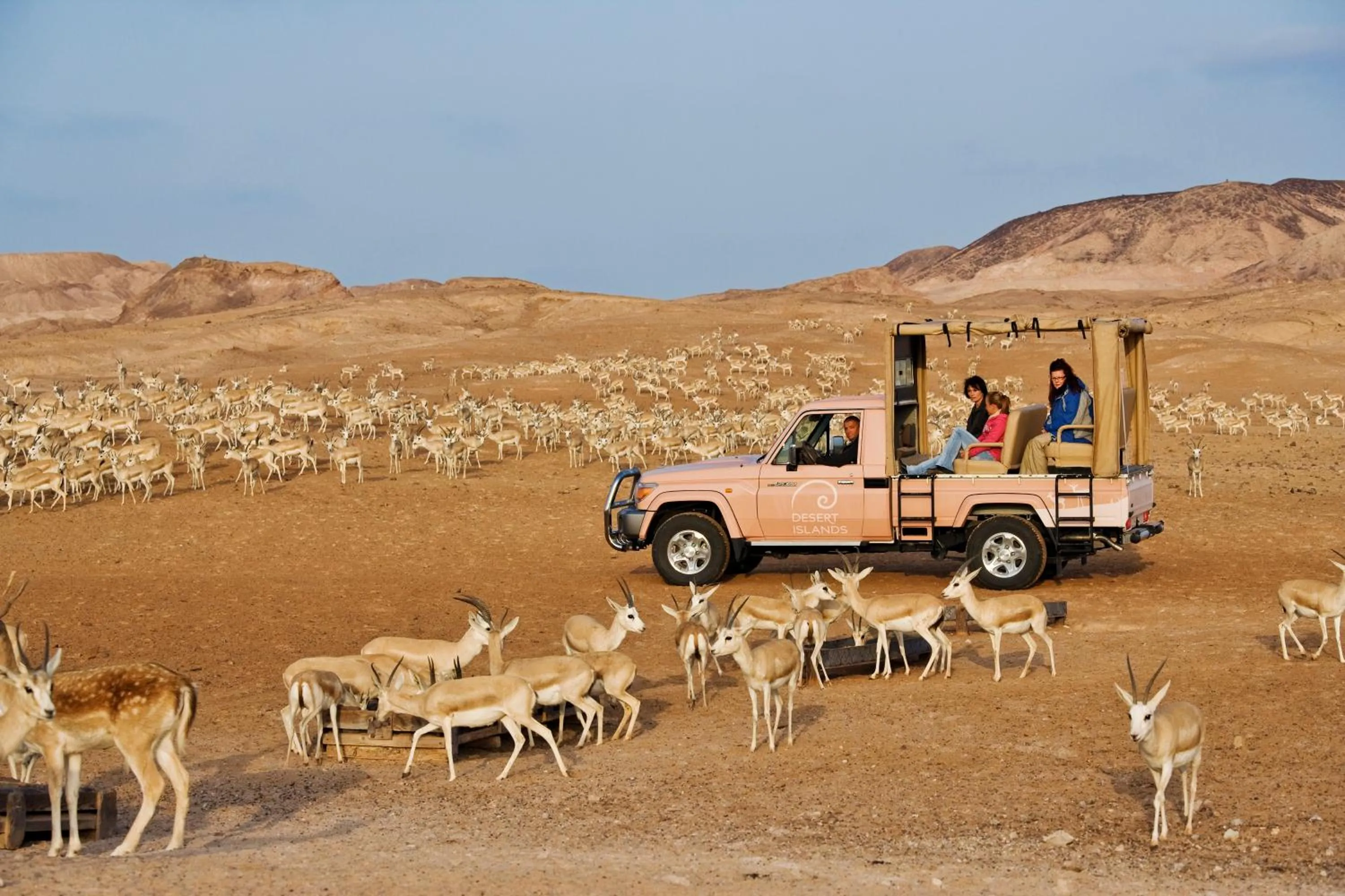 Animals in Anantara Sir Bani Yas Island Al Sahel Villas