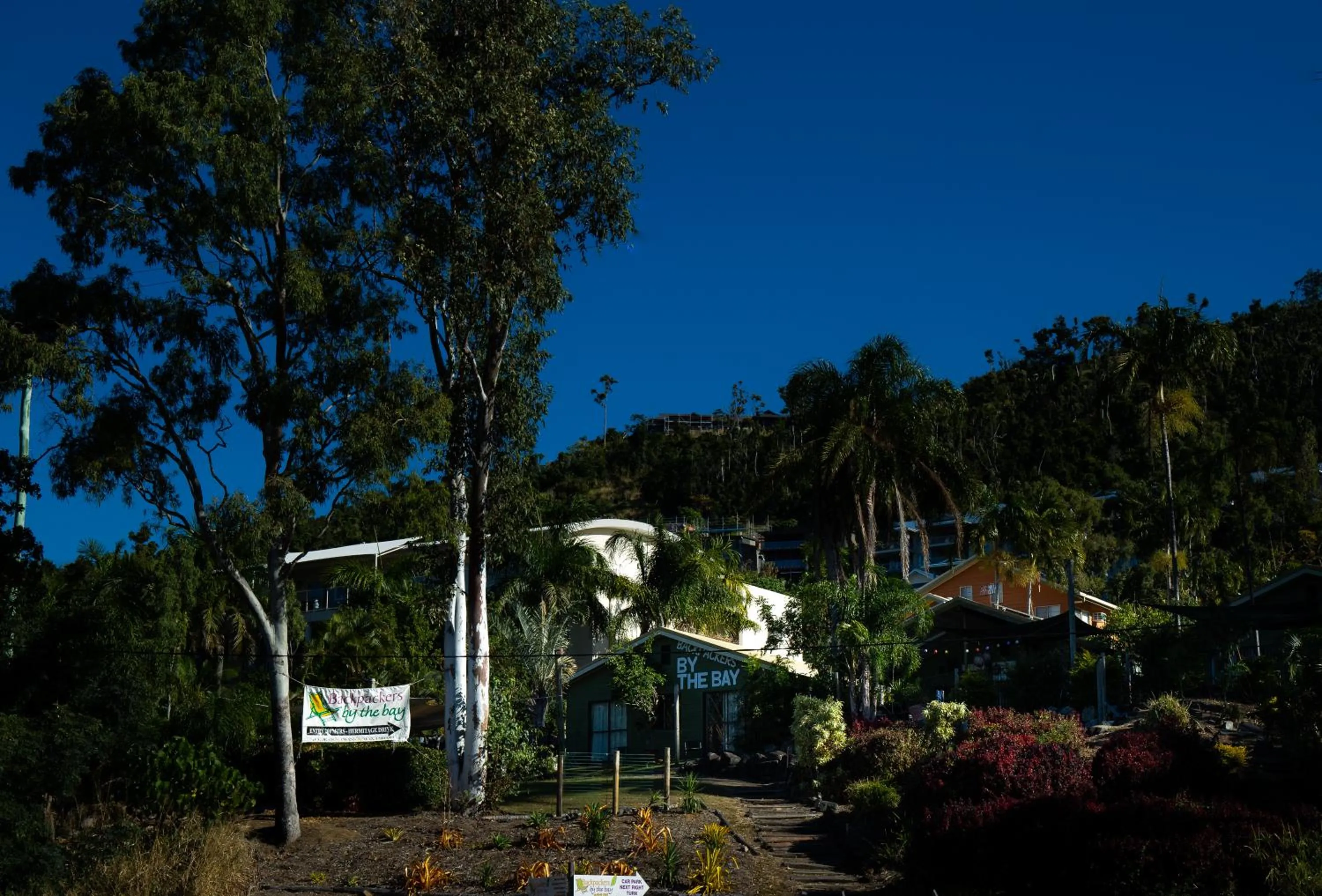 Backpackers By The Bay