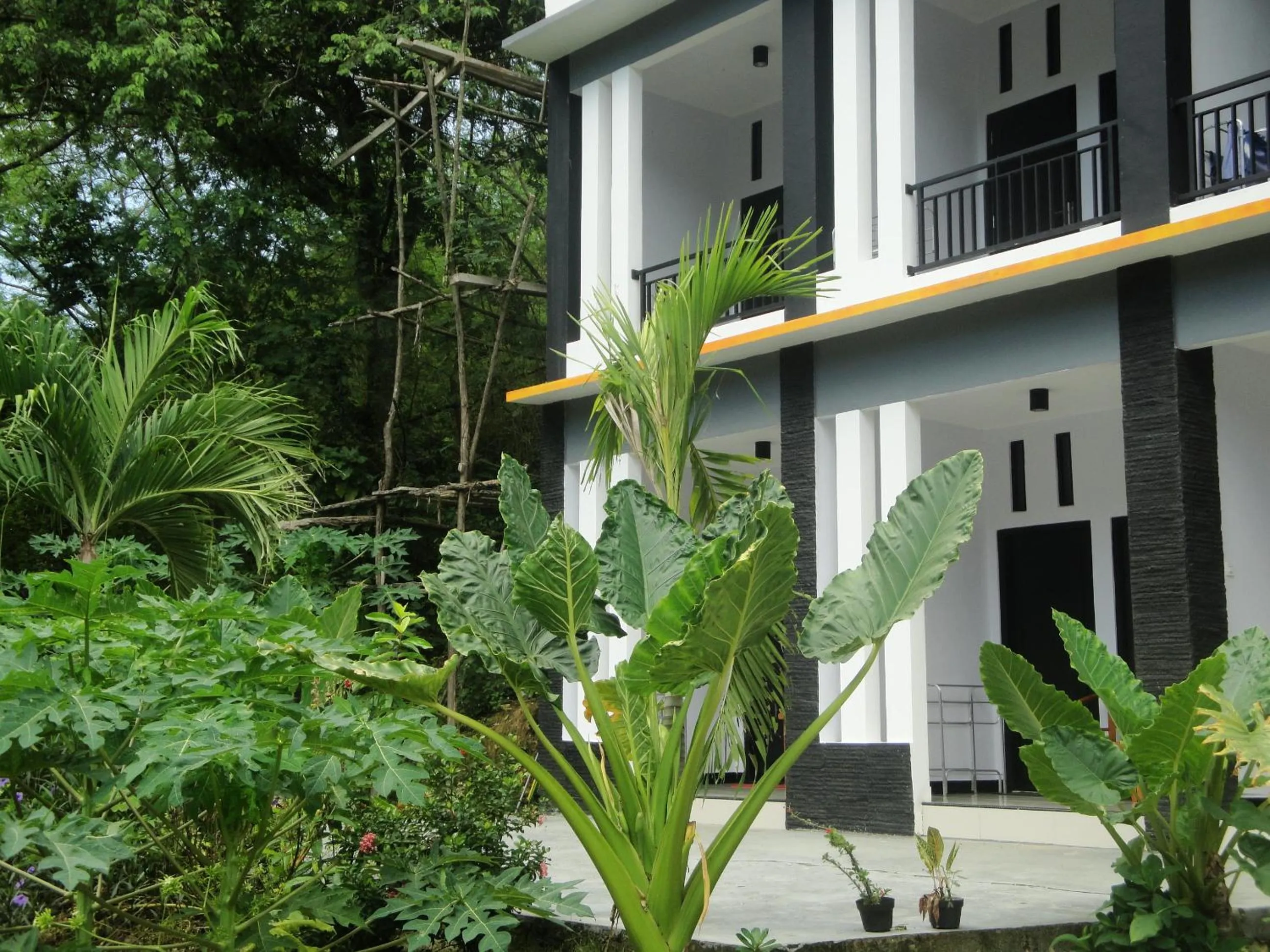 Floor plan in CF Komodo Hotel