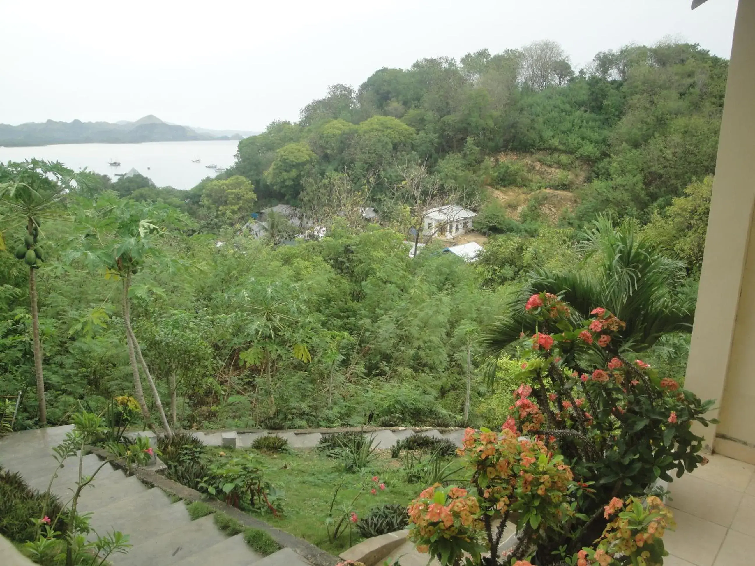 Facade/entrance in CF Komodo Hotel Facade/entrance in CF Komodo Hotel