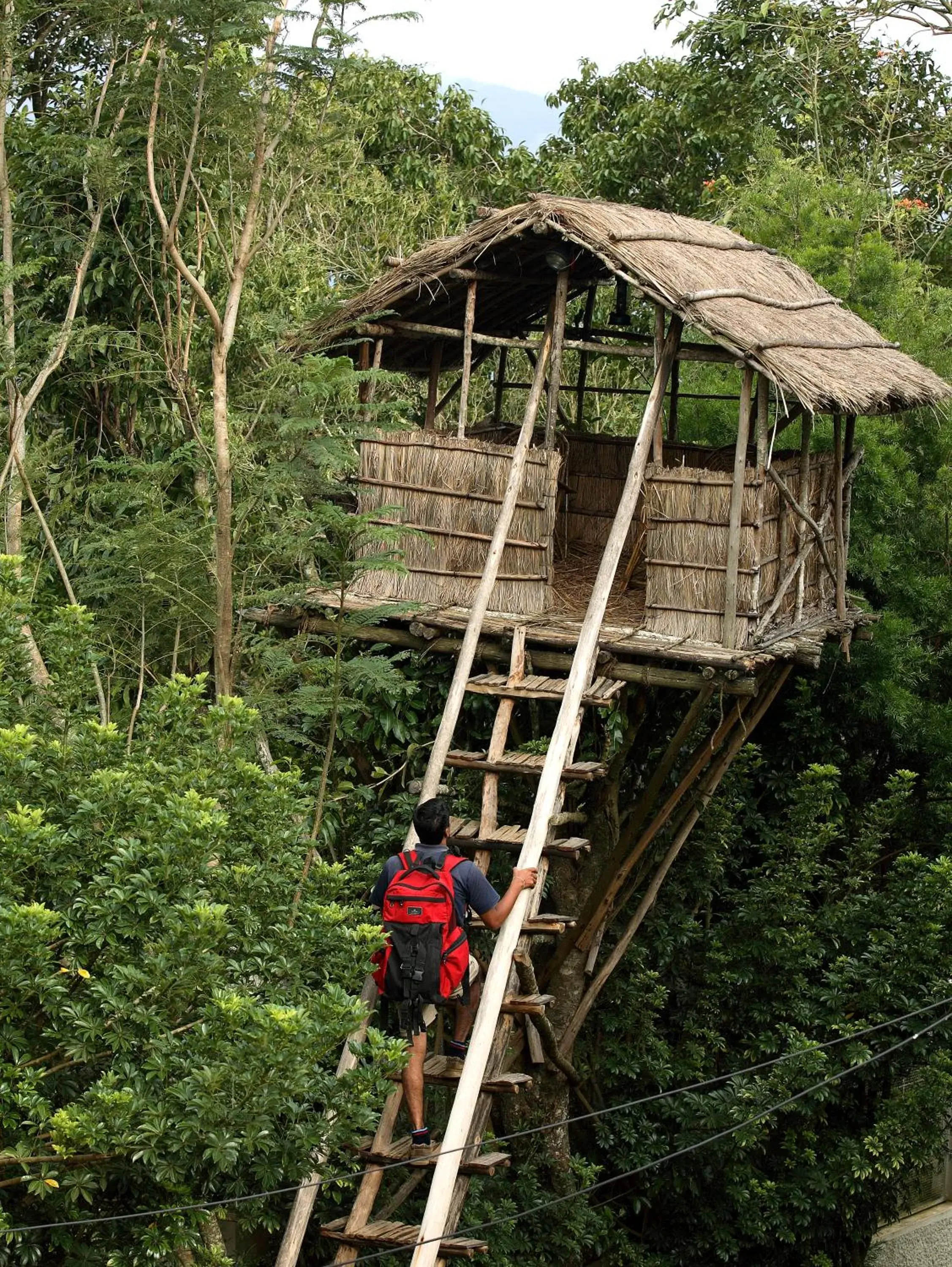 Entertainment in The Siena Village Entertainment in The Siena Village