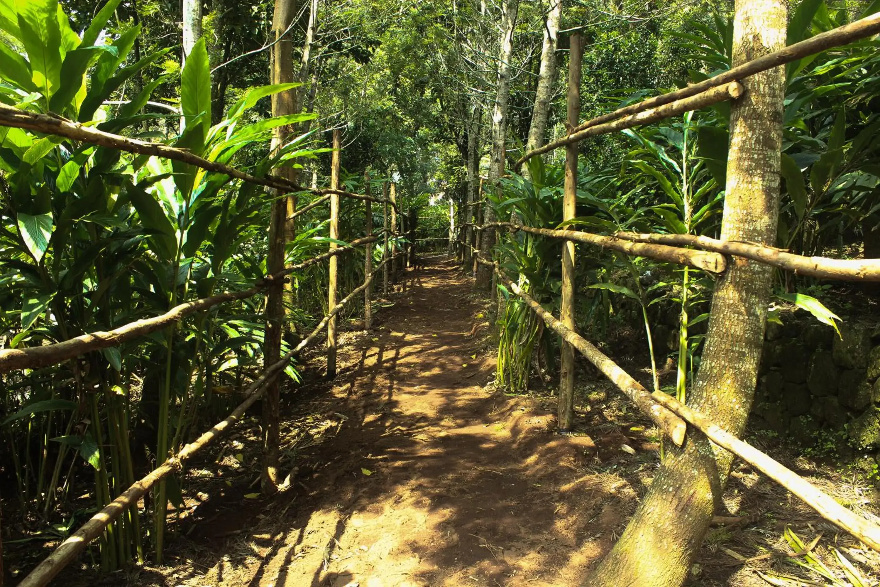 Activities in The Siena Village Activities in The Siena Village