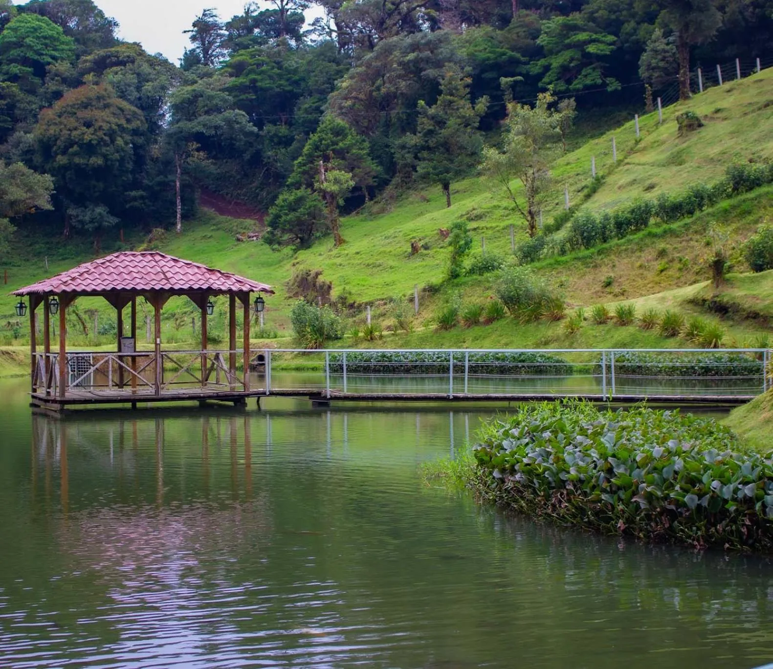 Natural landscape in Burbi Lake Lodge Monteverde