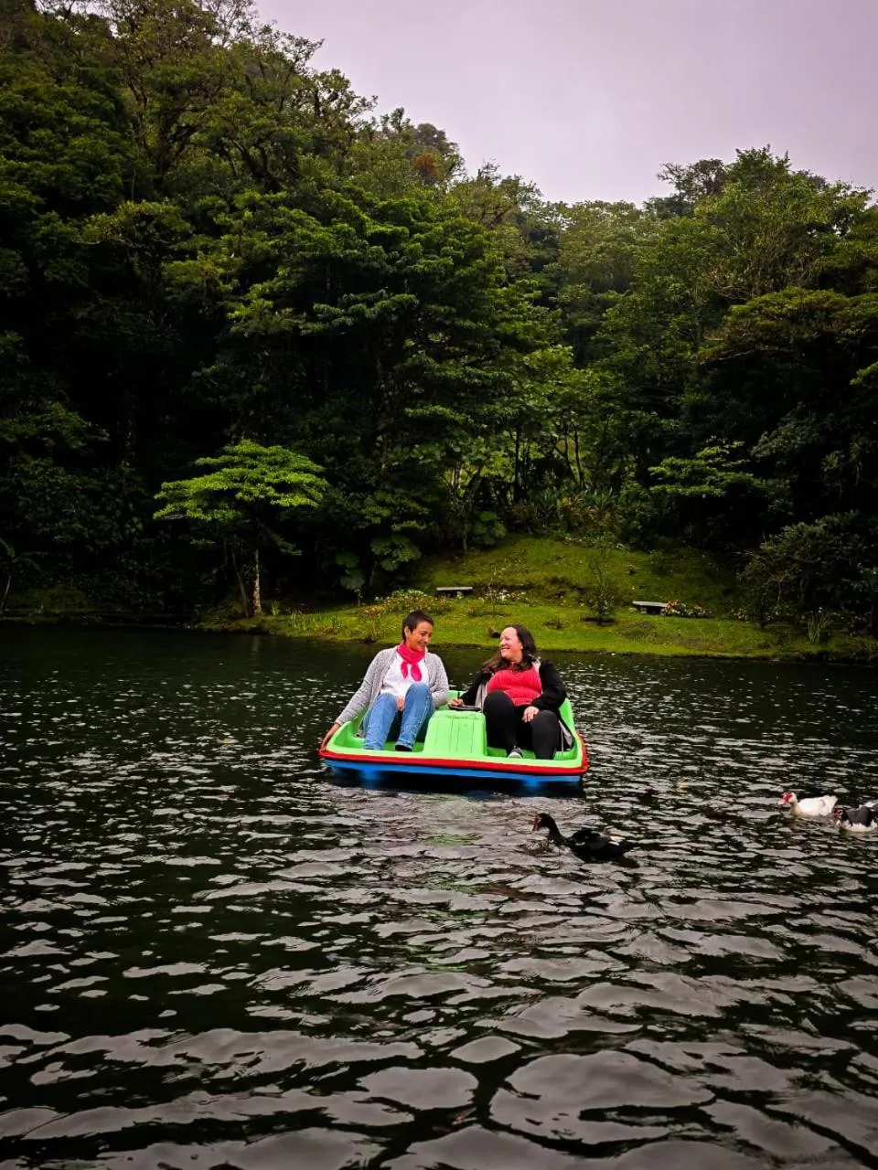 Natural landscape in Burbi Lake Lodge Monteverde