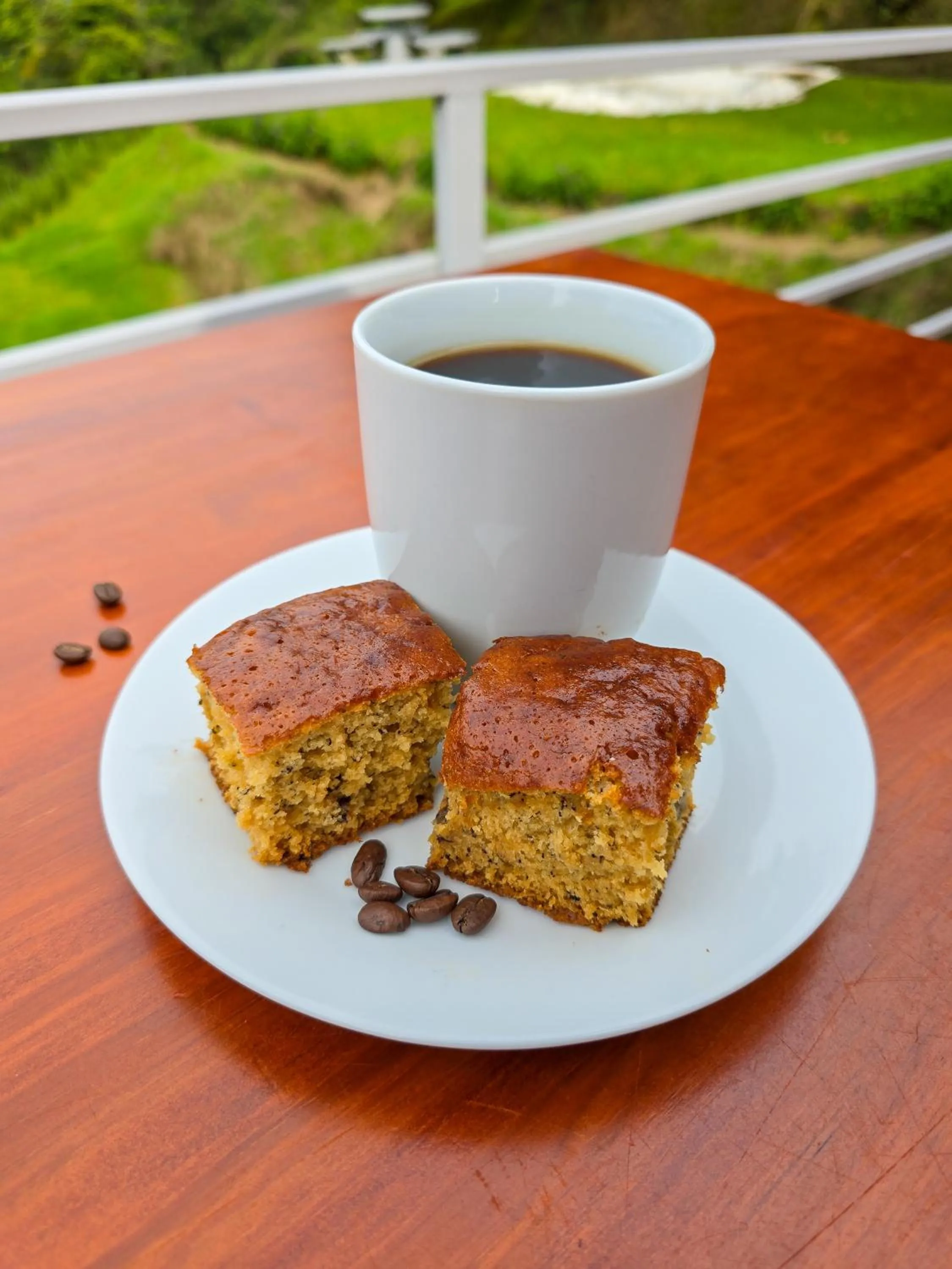 Restaurant/places to eat in Burbi Lake Lodge Monteverde