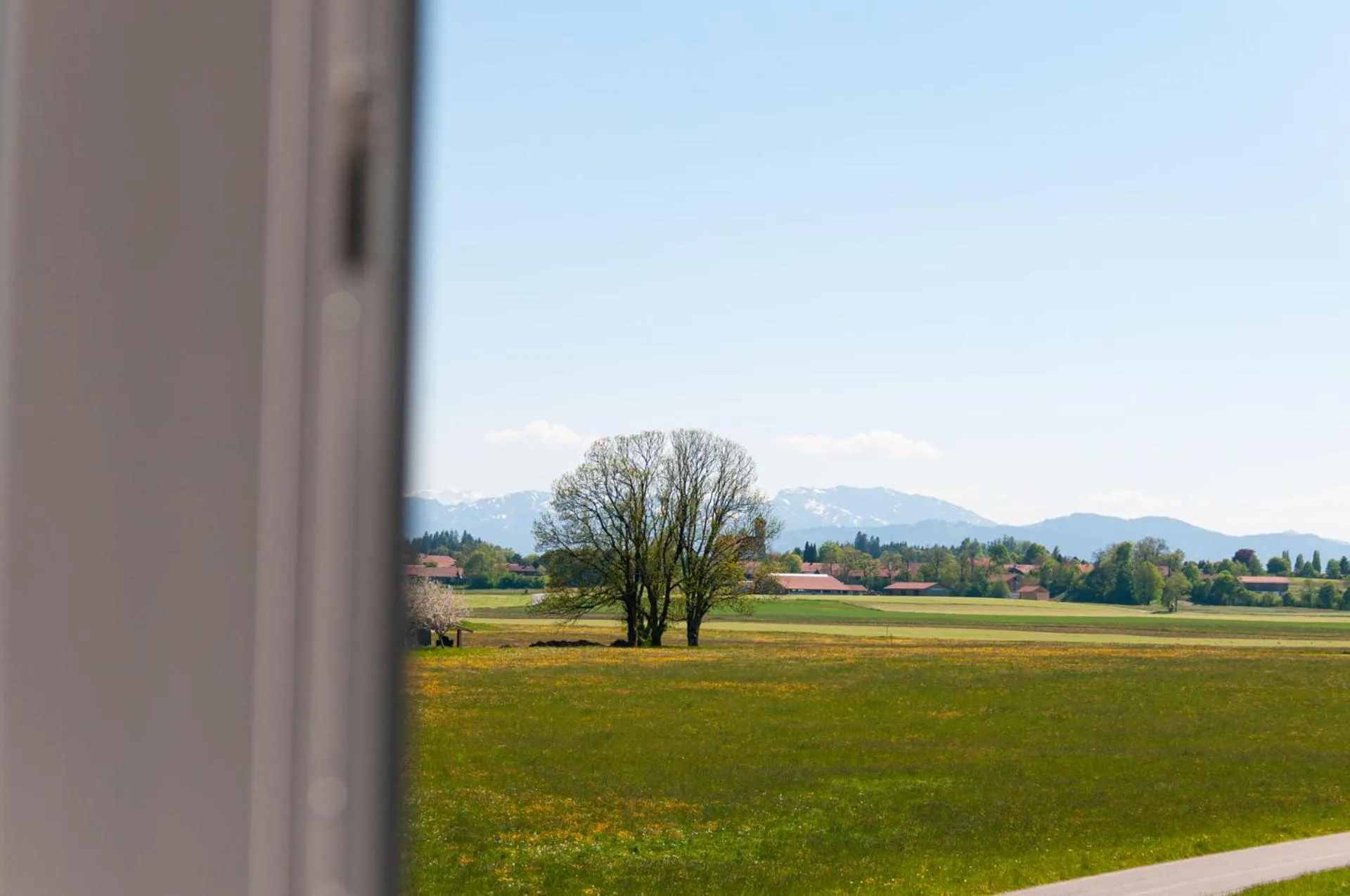 View (from property/room) in Landhotel & Gasthof Baiernrain