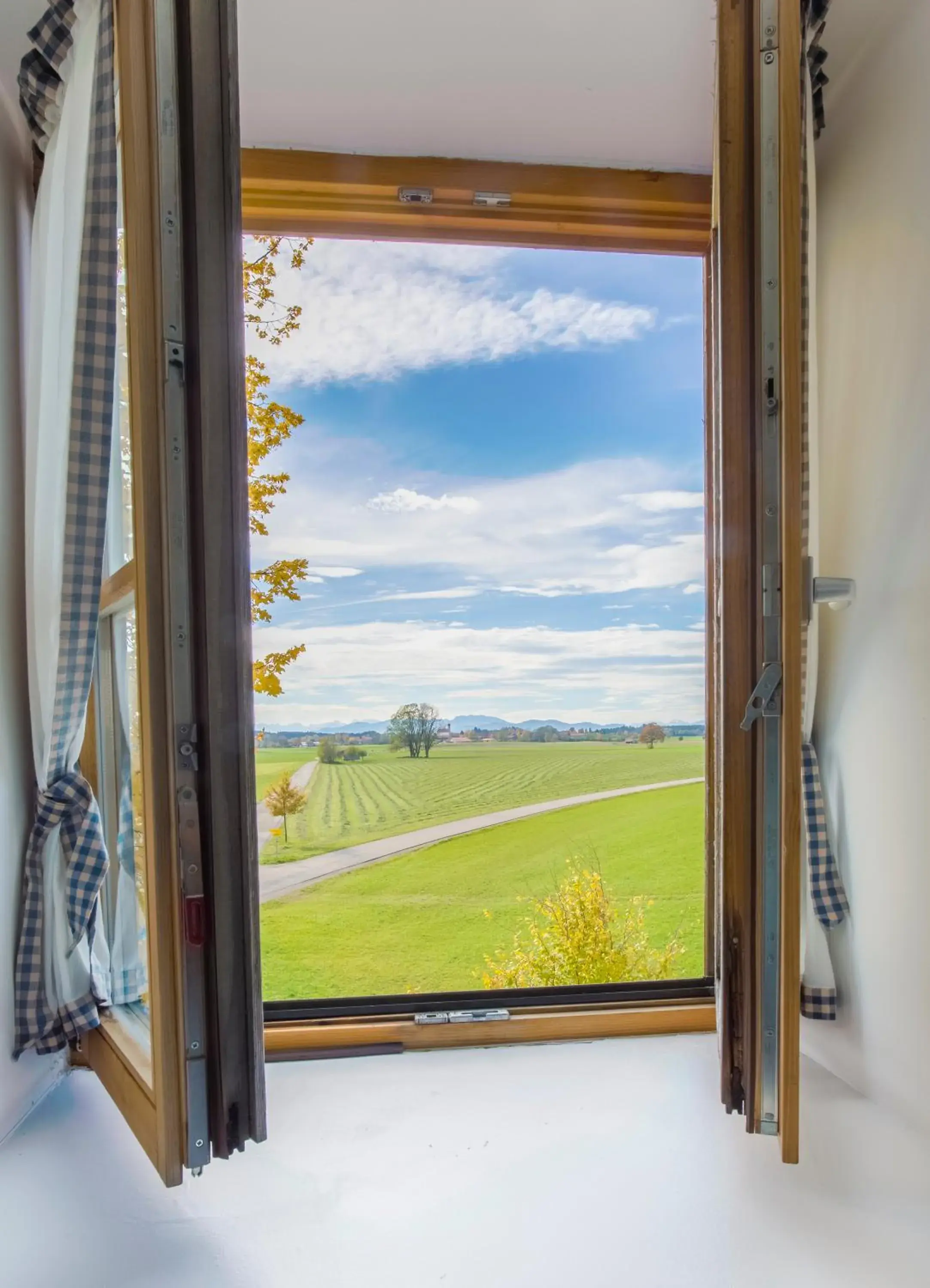 Garden view in Landhotel & Gasthof Baiernrain Garden view in Landhotel & Gasthof Baiernrain