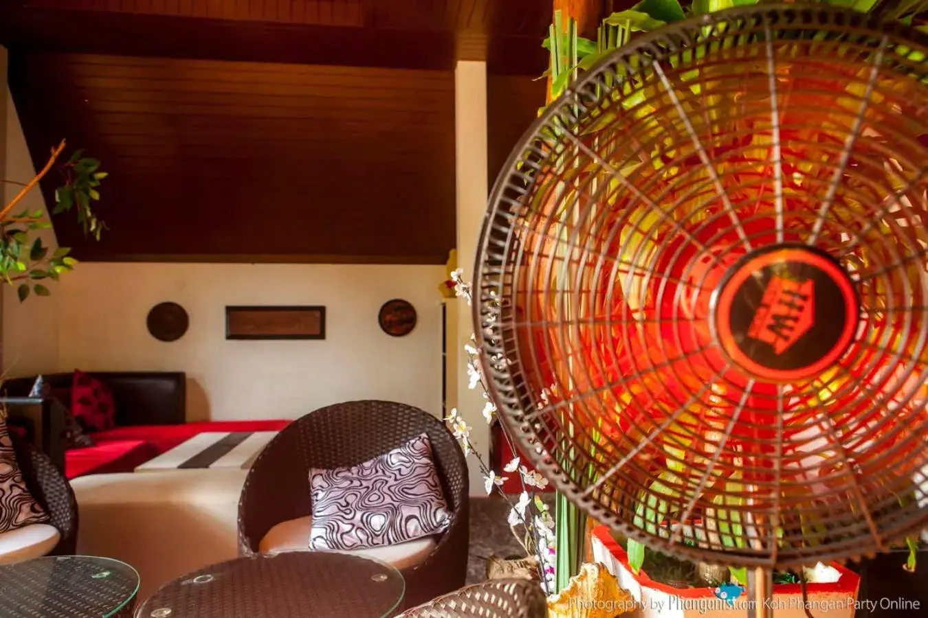 Restaurant/places to eat in Phangan Cove Beach Resort Restaurant/places to eat in Phangan Cove Beach Resort