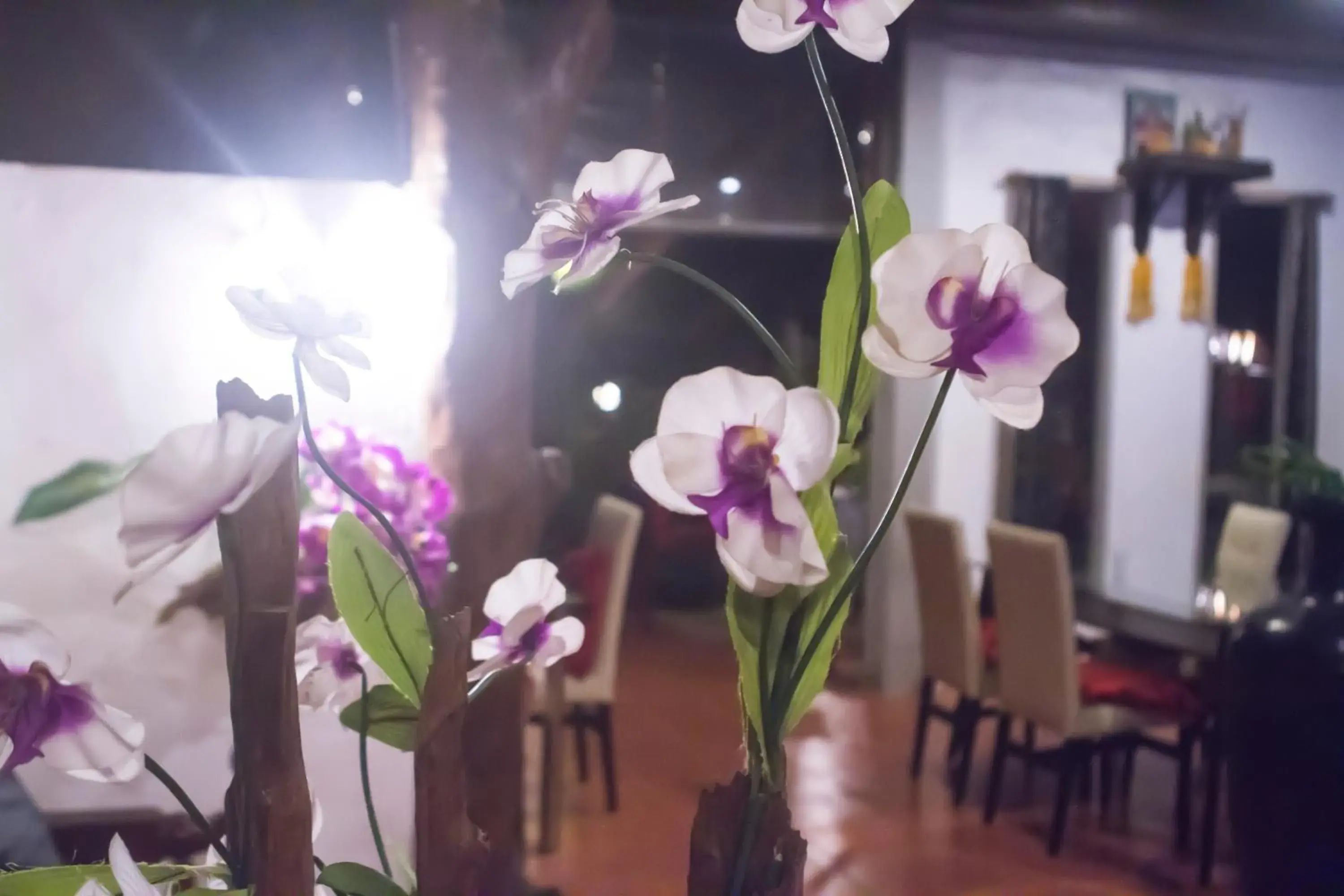 Restaurant/places to eat in Phangan Cove Beach Resort Restaurant/places to eat in Phangan Cove Beach Resort