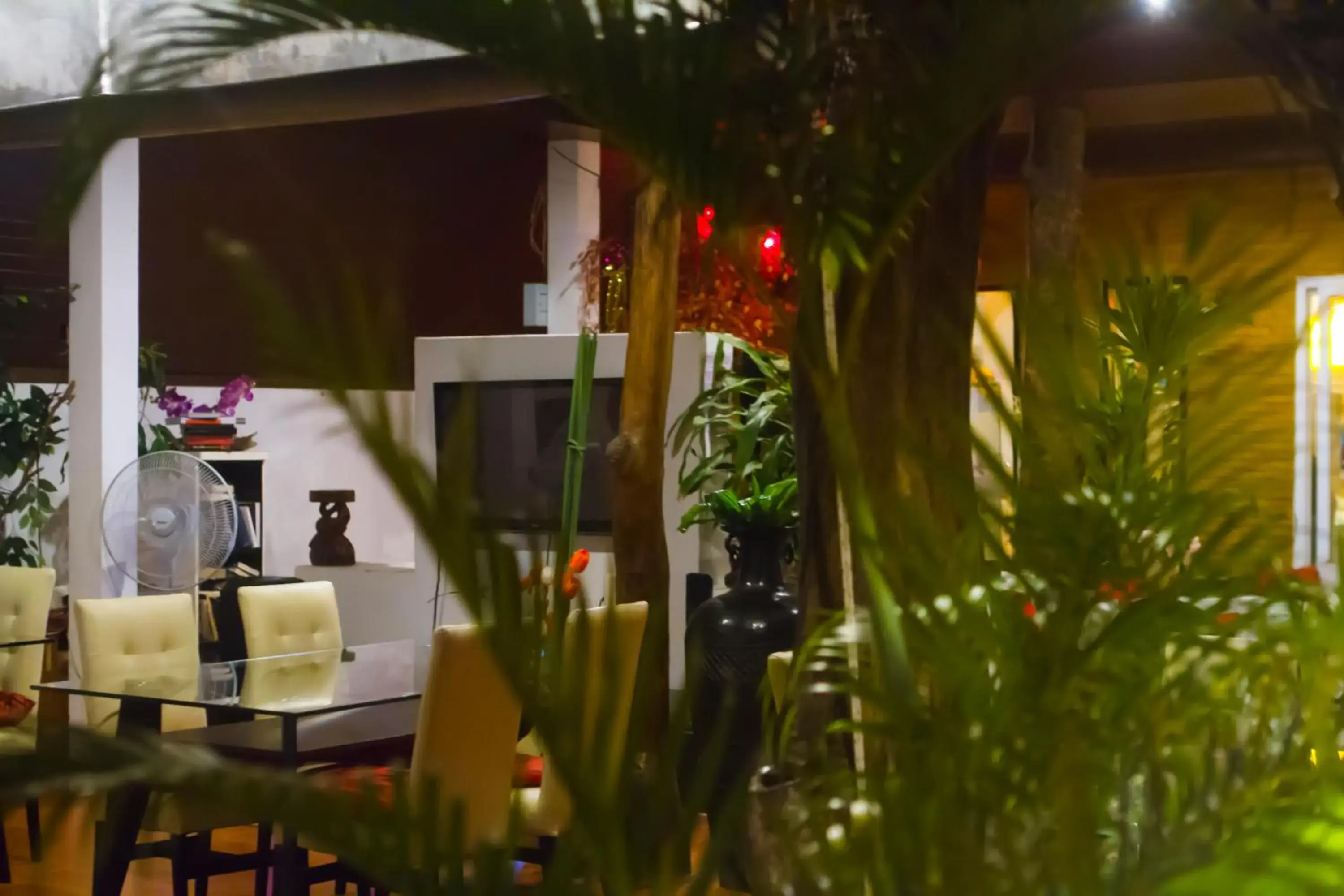 Restaurant/places to eat in Phangan Cove Beach Resort Restaurant/places to eat in Phangan Cove Beach Resort