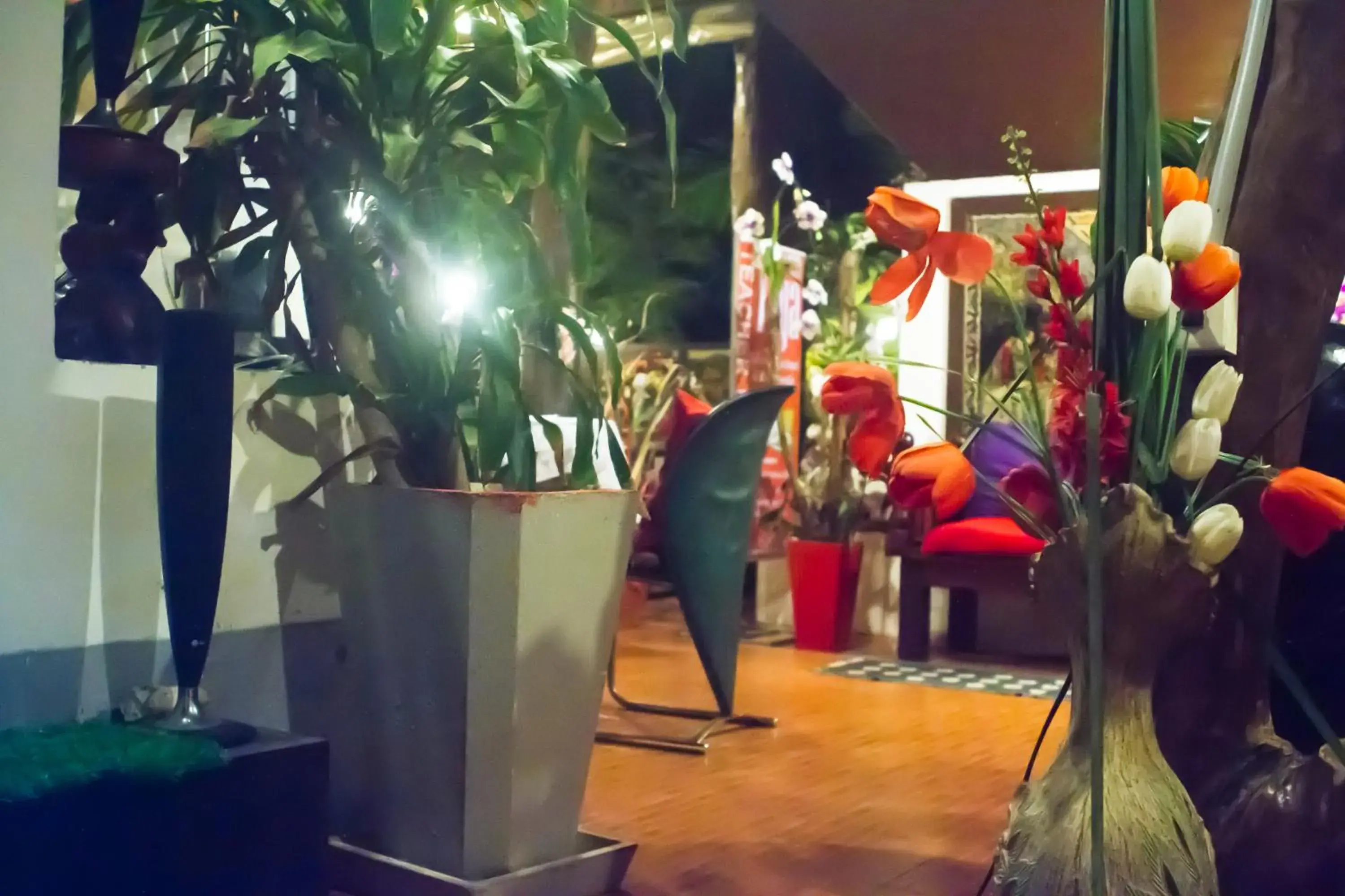 Restaurant/places to eat in Phangan Cove Beach Resort Restaurant/places to eat in Phangan Cove Beach Resort