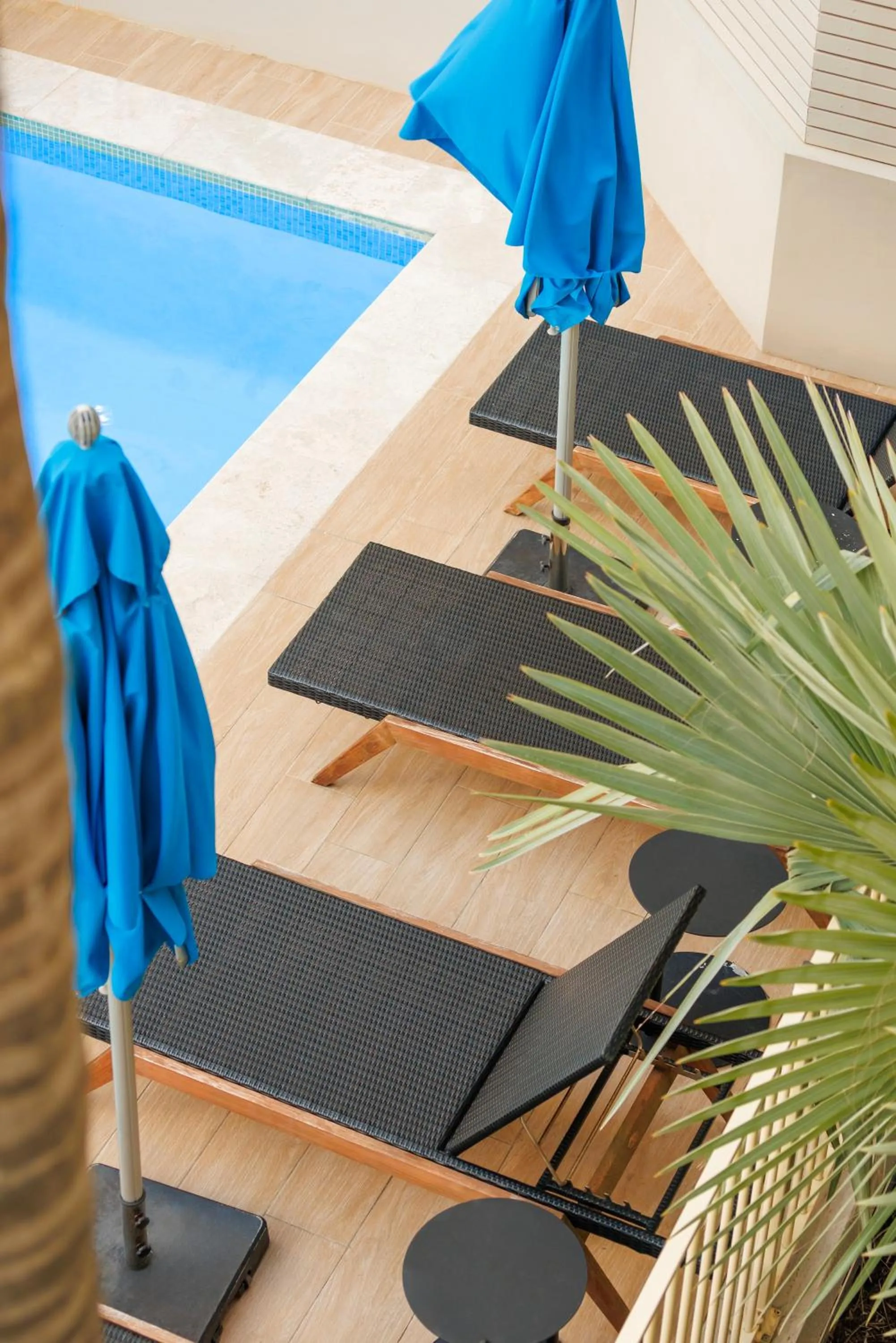 Pool view in The Sebel Sydney Manly Beach