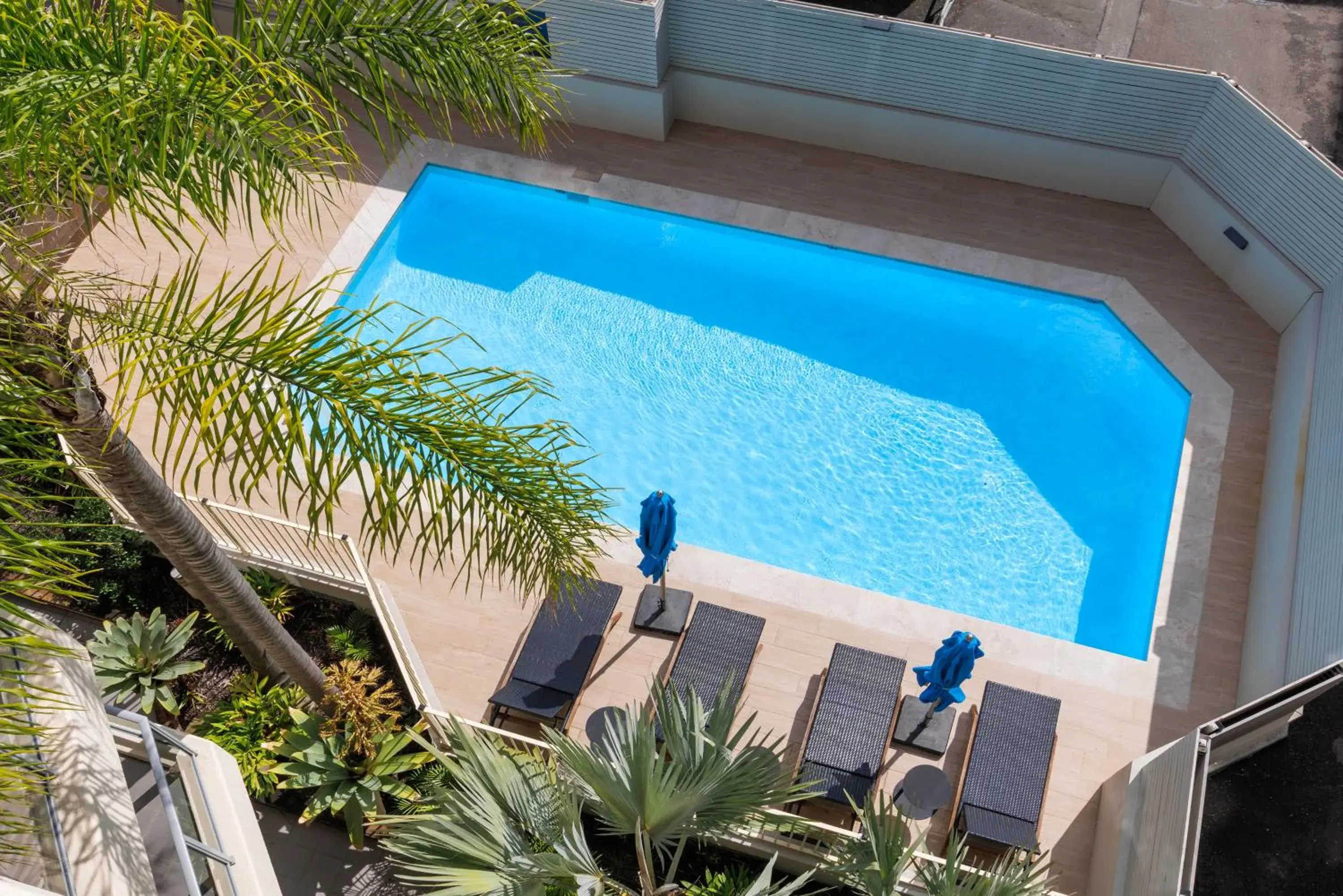 Swimming pool in The Sebel Sydney Manly Beach Swimming pool in The Sebel Sydney Manly Beach