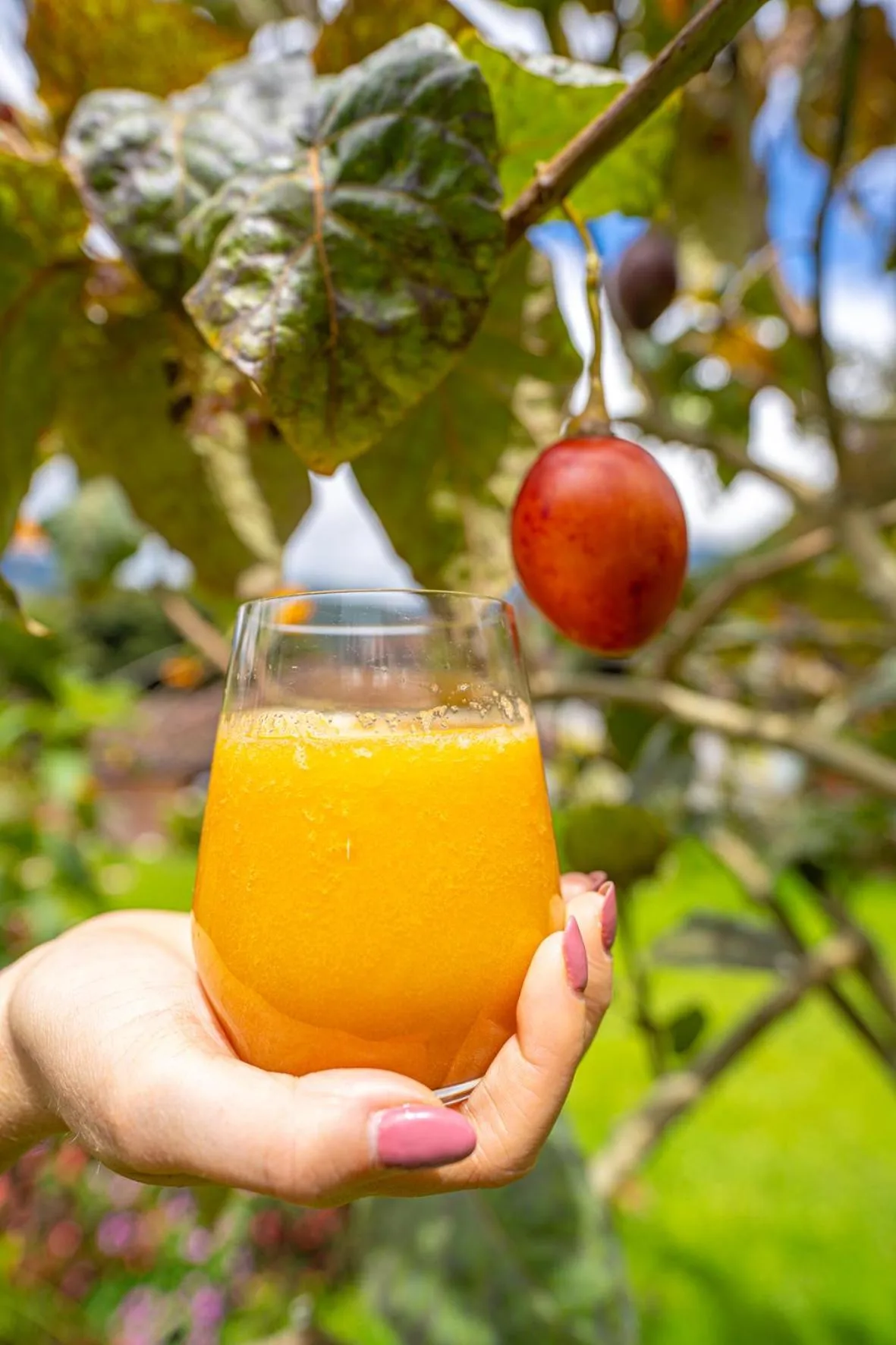 Natural landscape in Luna Volcán, Adventure SPA - formerly Luna Runtún
