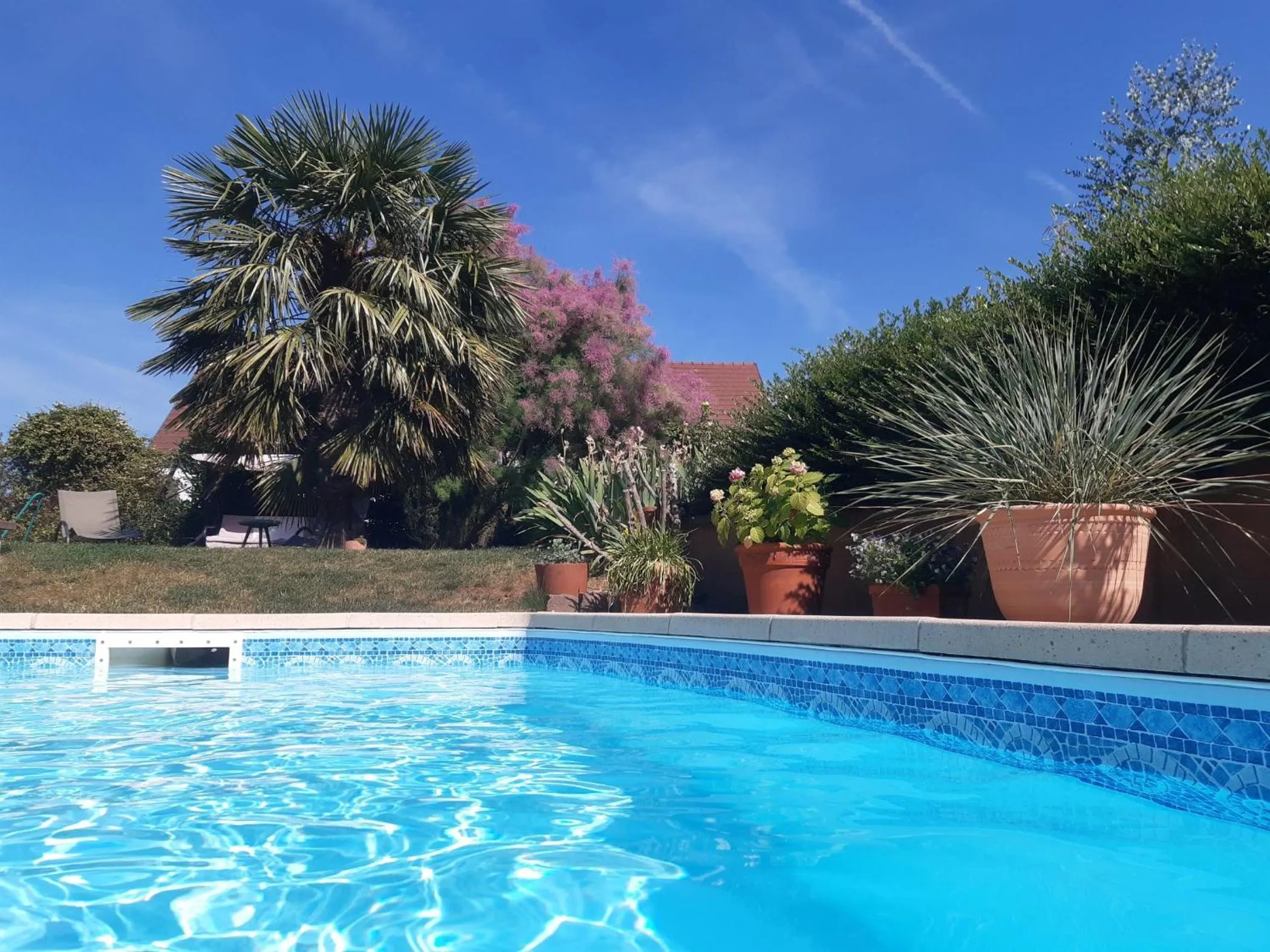 Swimming pool in Vignoble