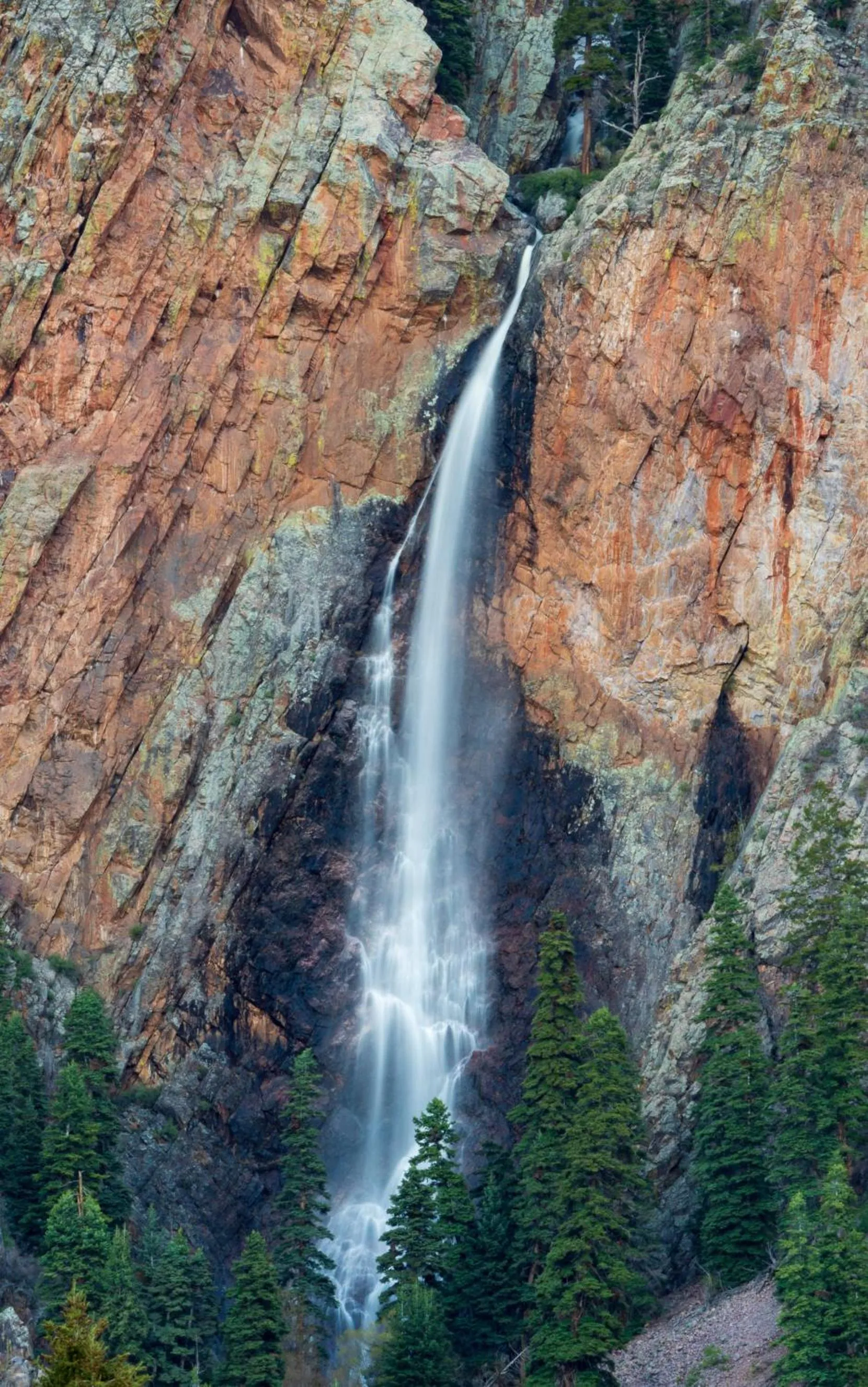 Natural landscape in Corkins Lodge