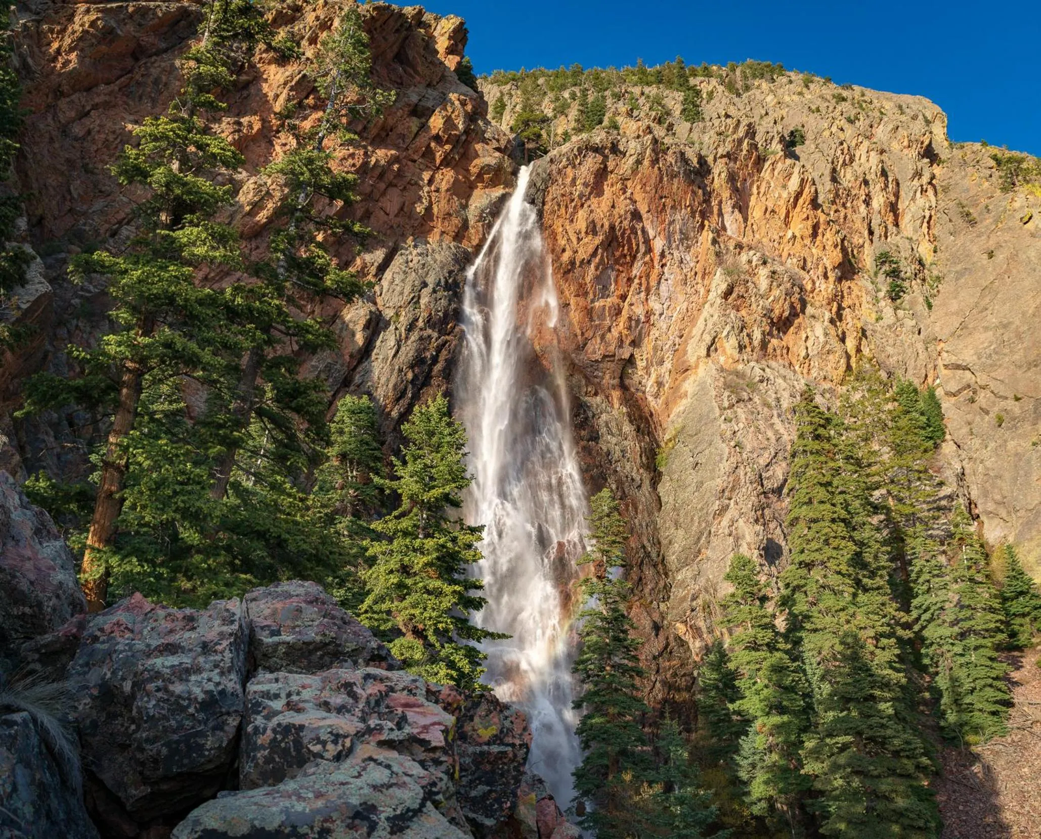 Natural landscape in Corkins Lodge