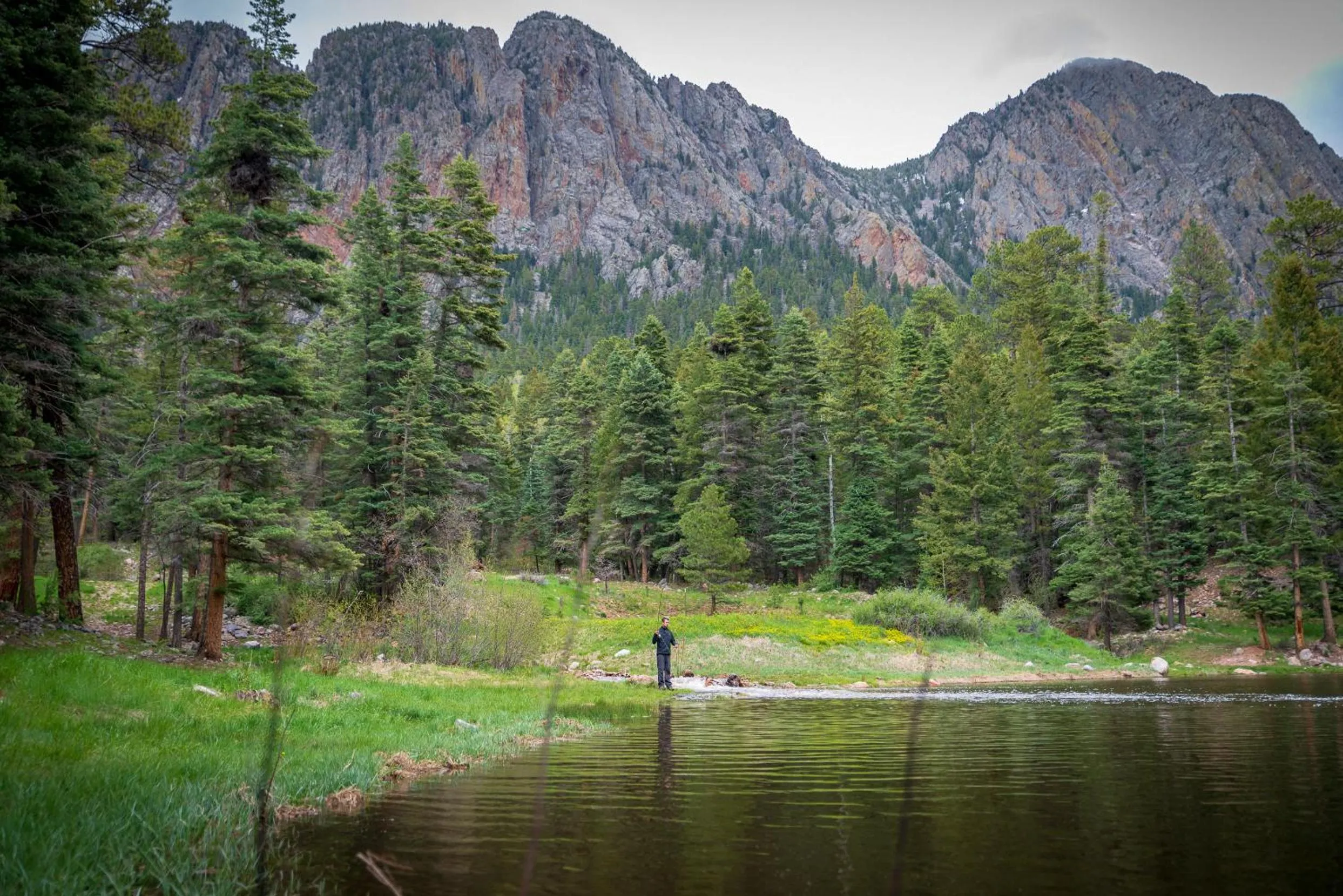 Natural landscape in Corkins Lodge