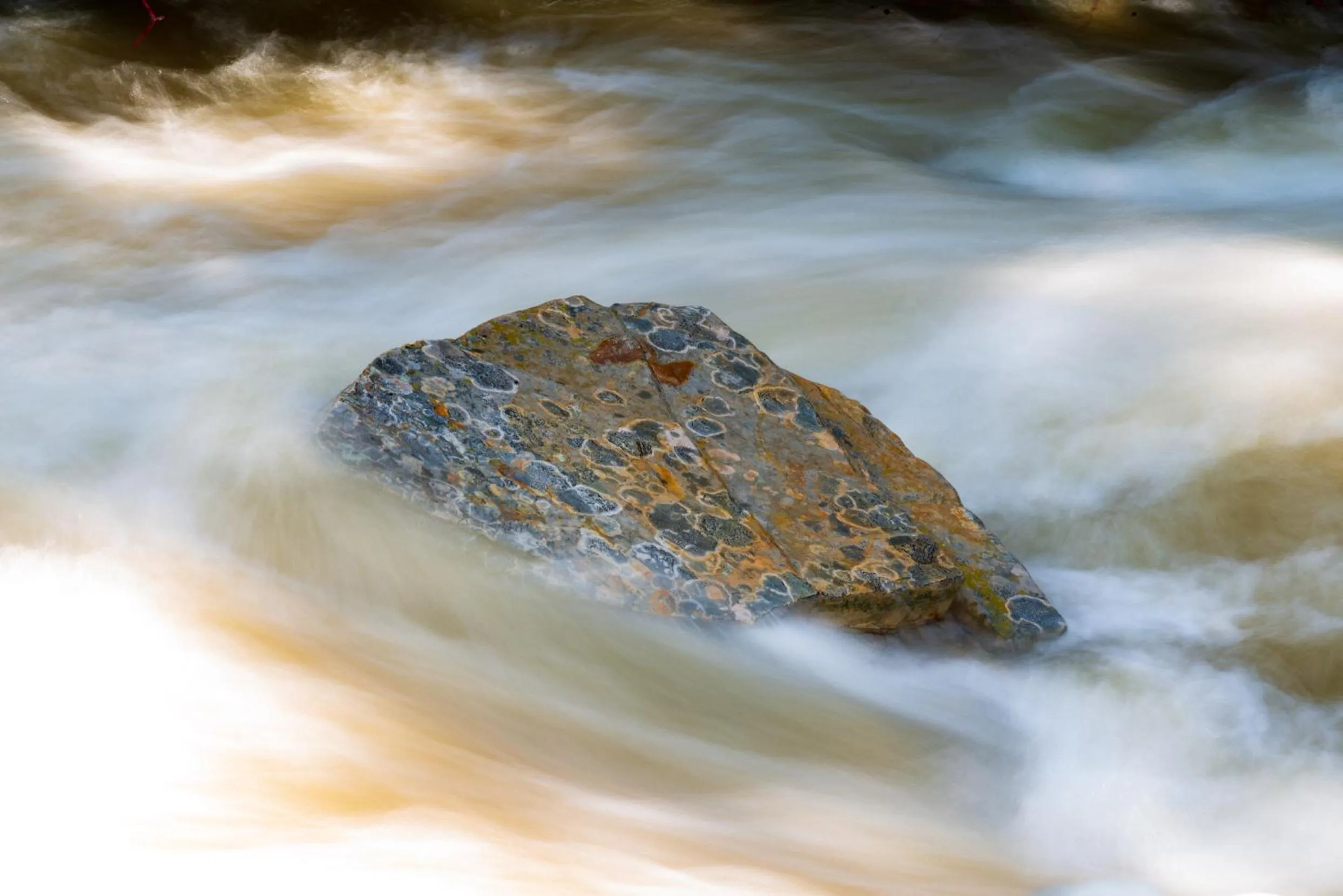 Natural landscape in Corkins Lodge