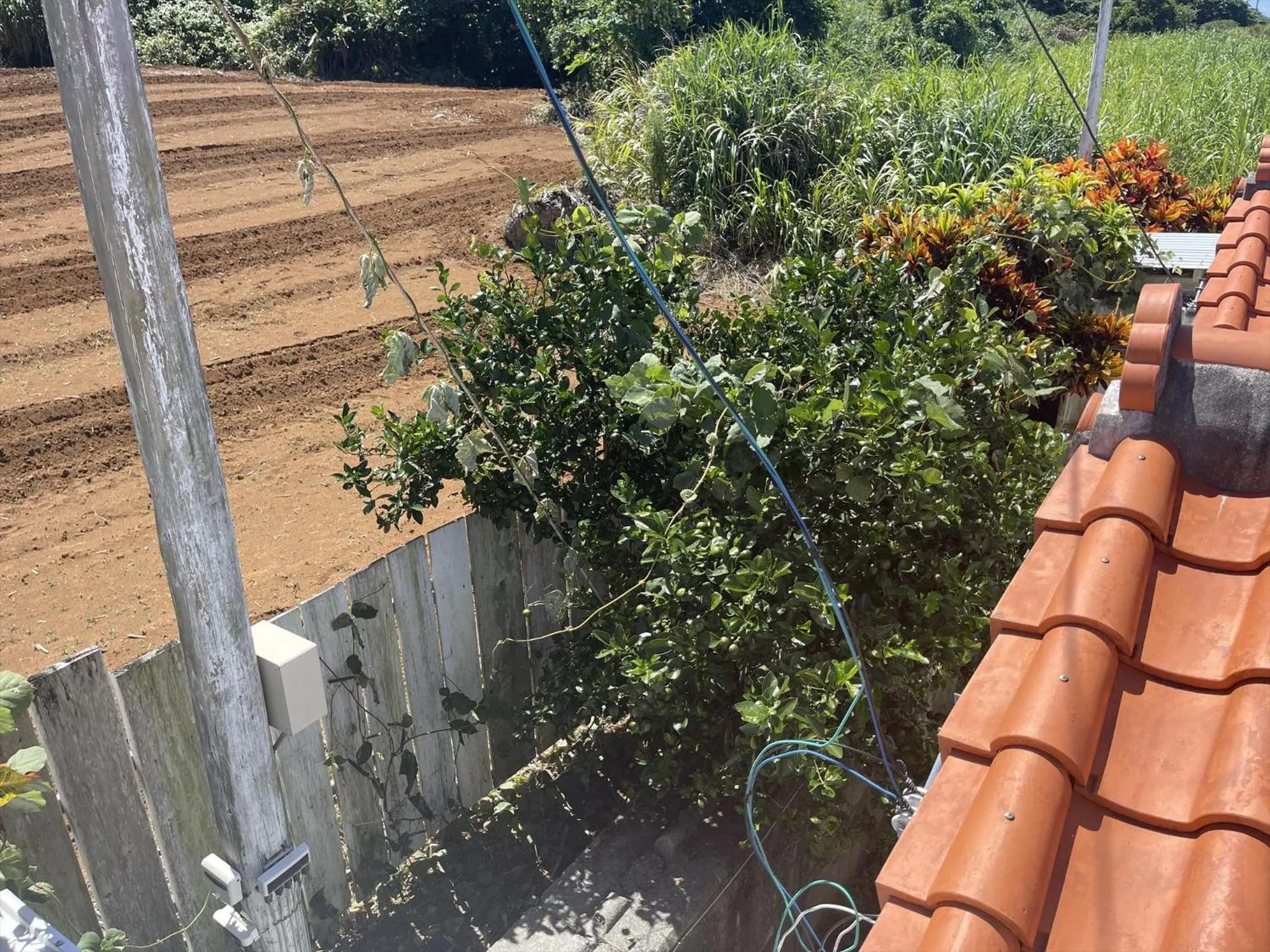 Property building in Shiawaseninaru Kourijima no Yado