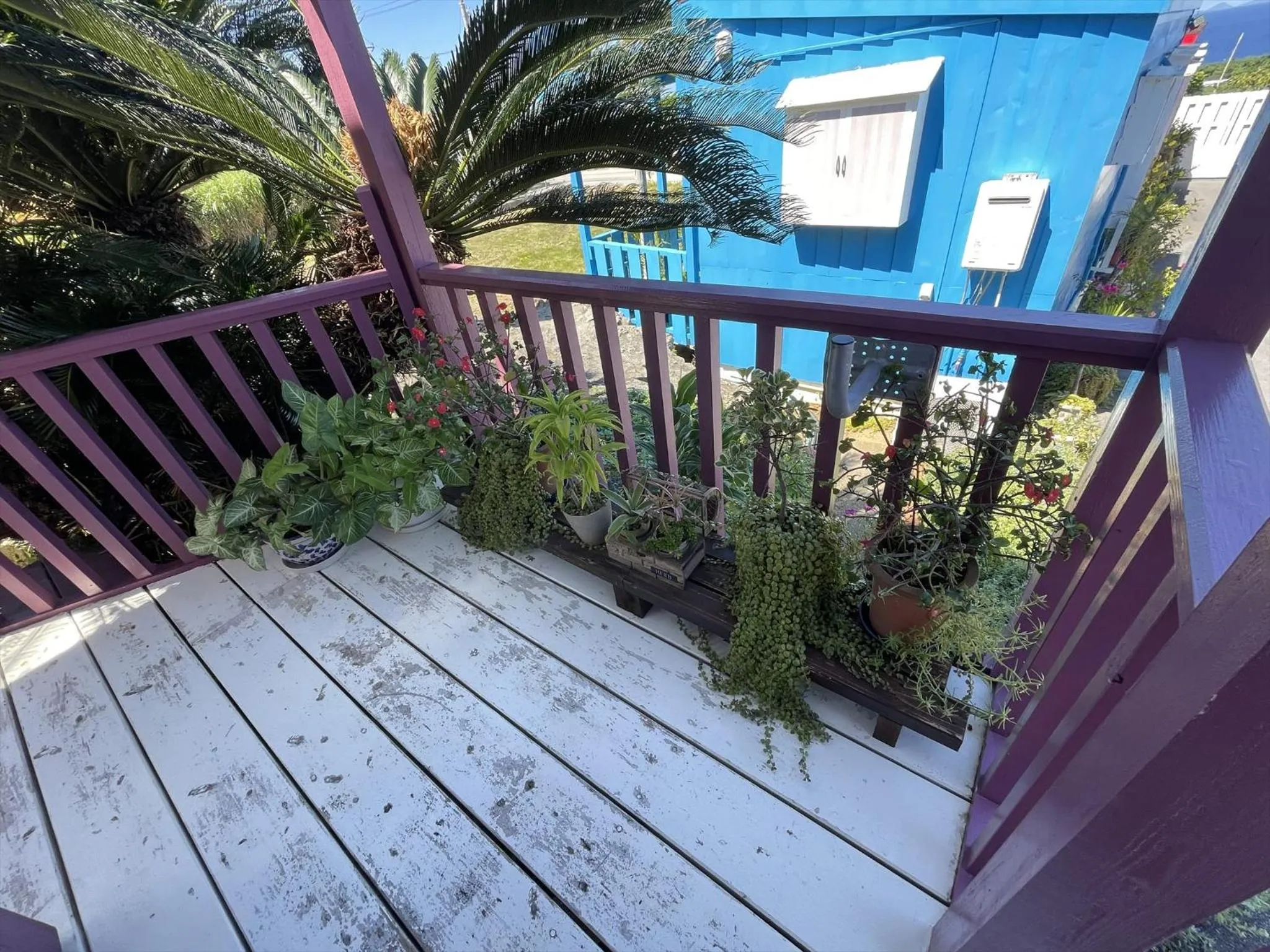 Property building in Shiawaseninaru Kourijima no Yado